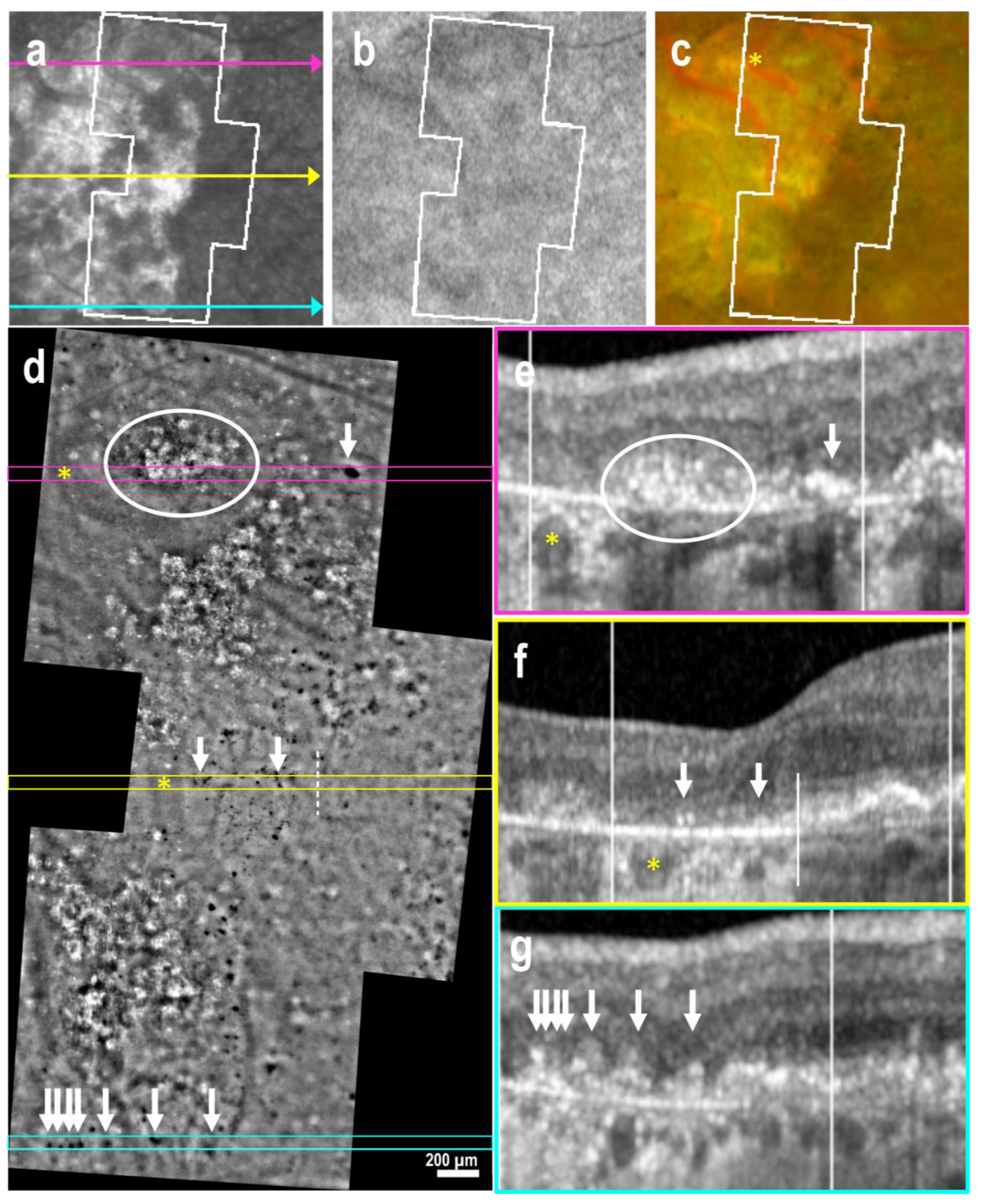 Preprints 154841 g005