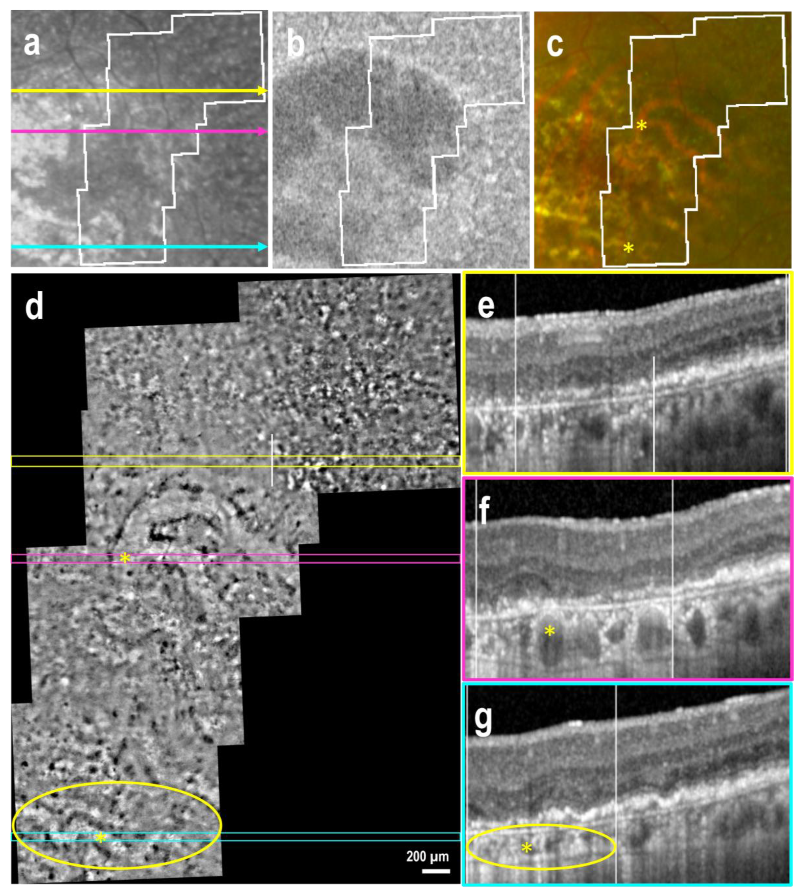 Preprints 154841 g006