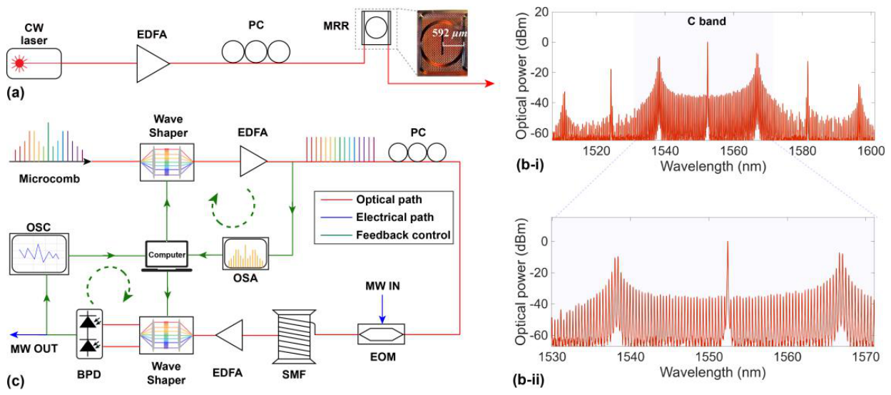 Preprints 227651 g004
