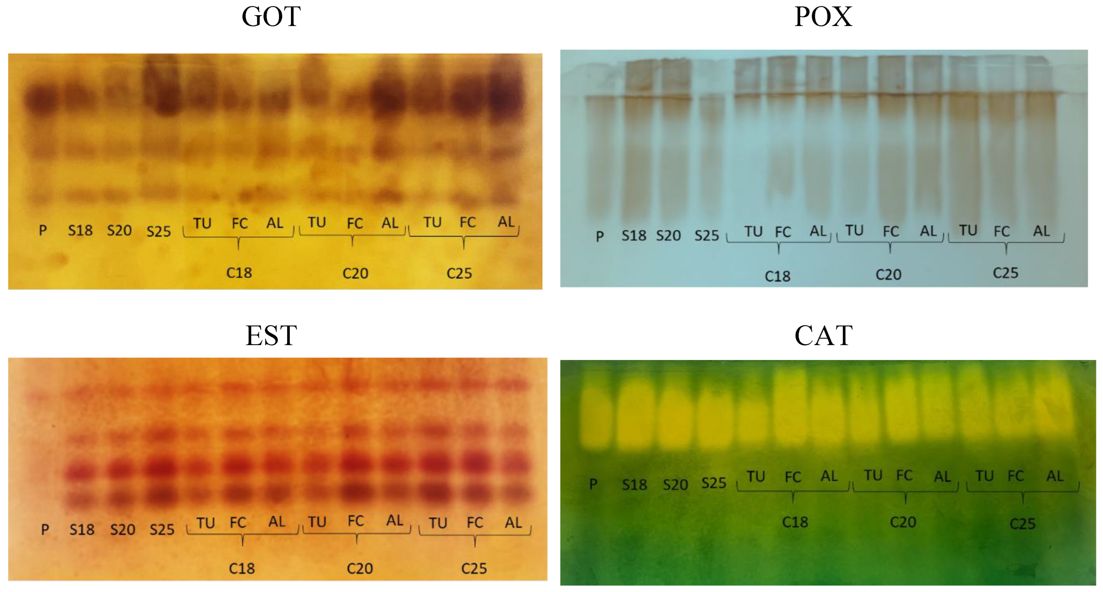 Preprints 140119 g005