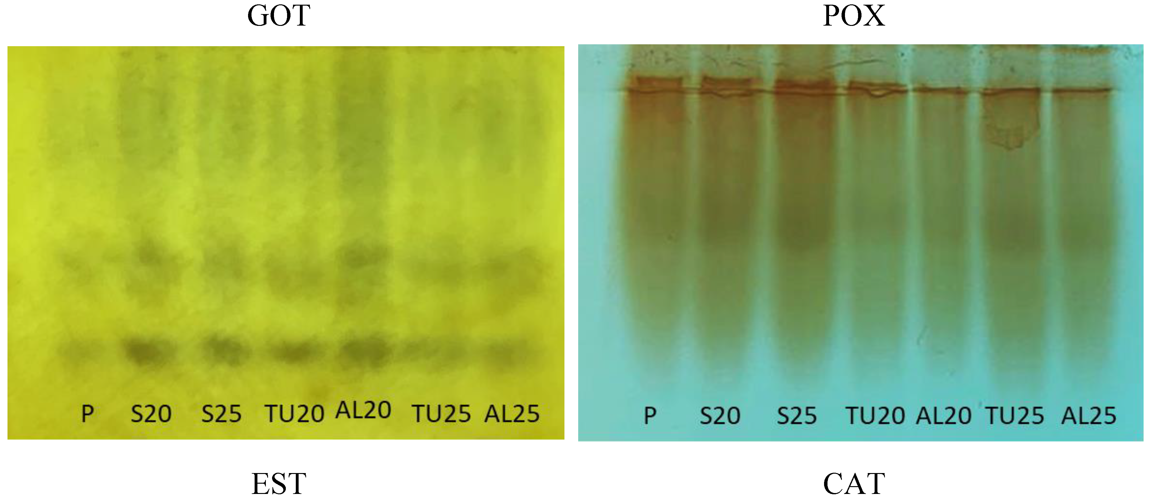 Preprints 140119 g006a