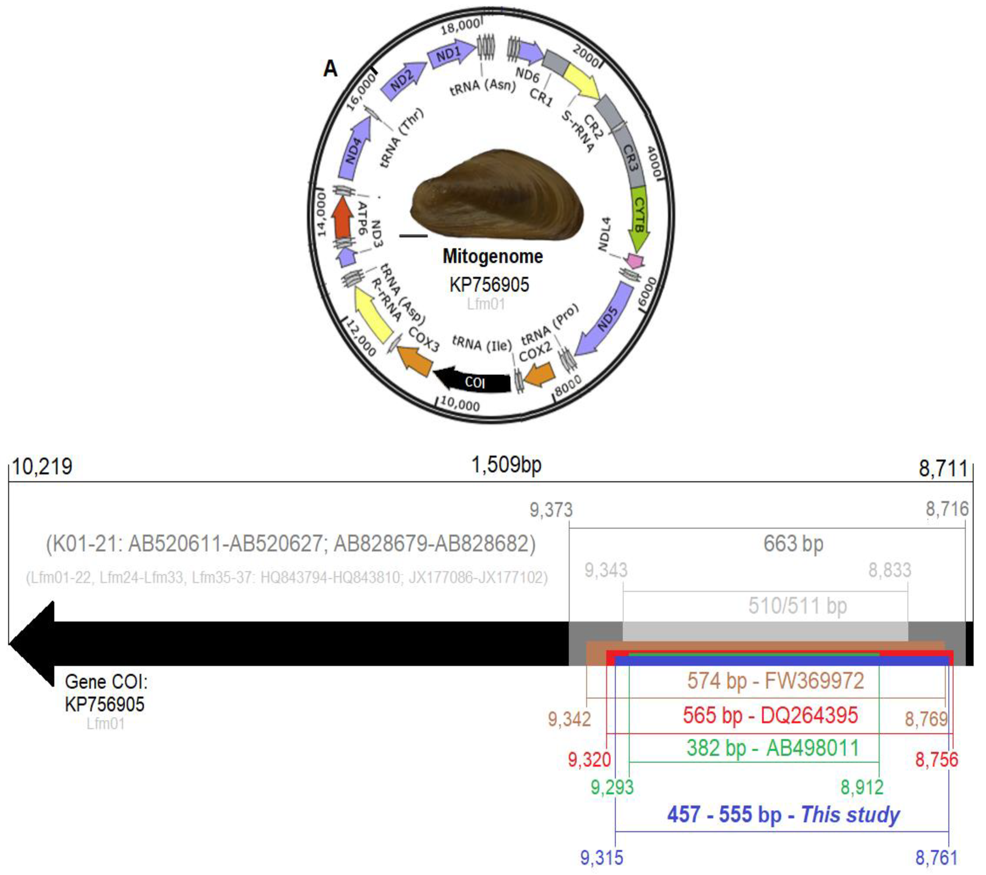 Preprints 120504 g002
