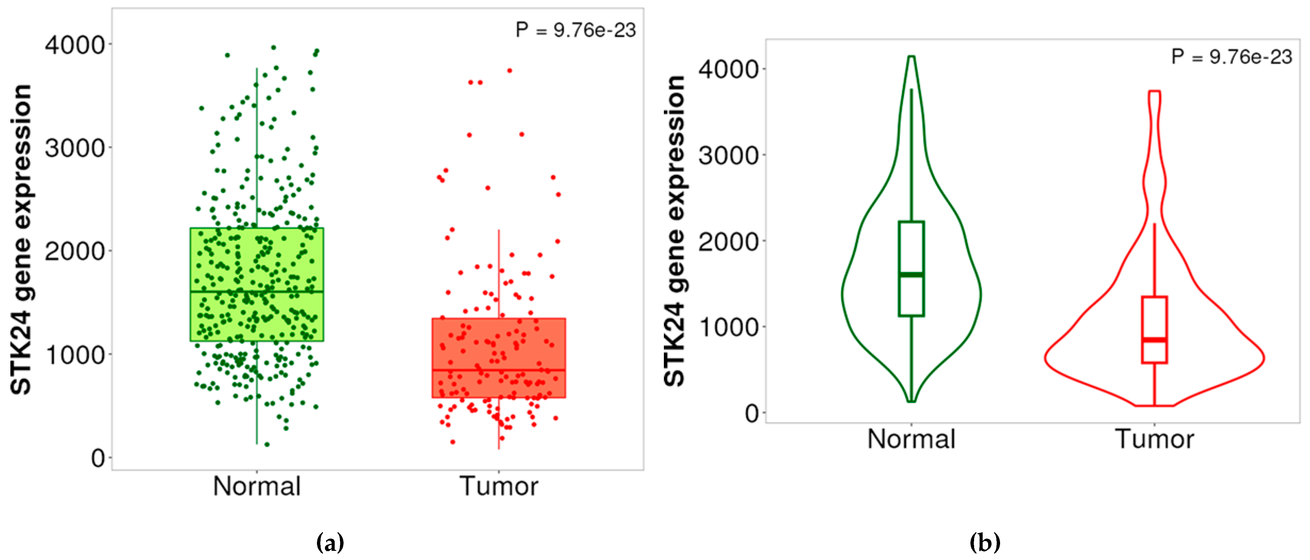 Preprints 137611 g001