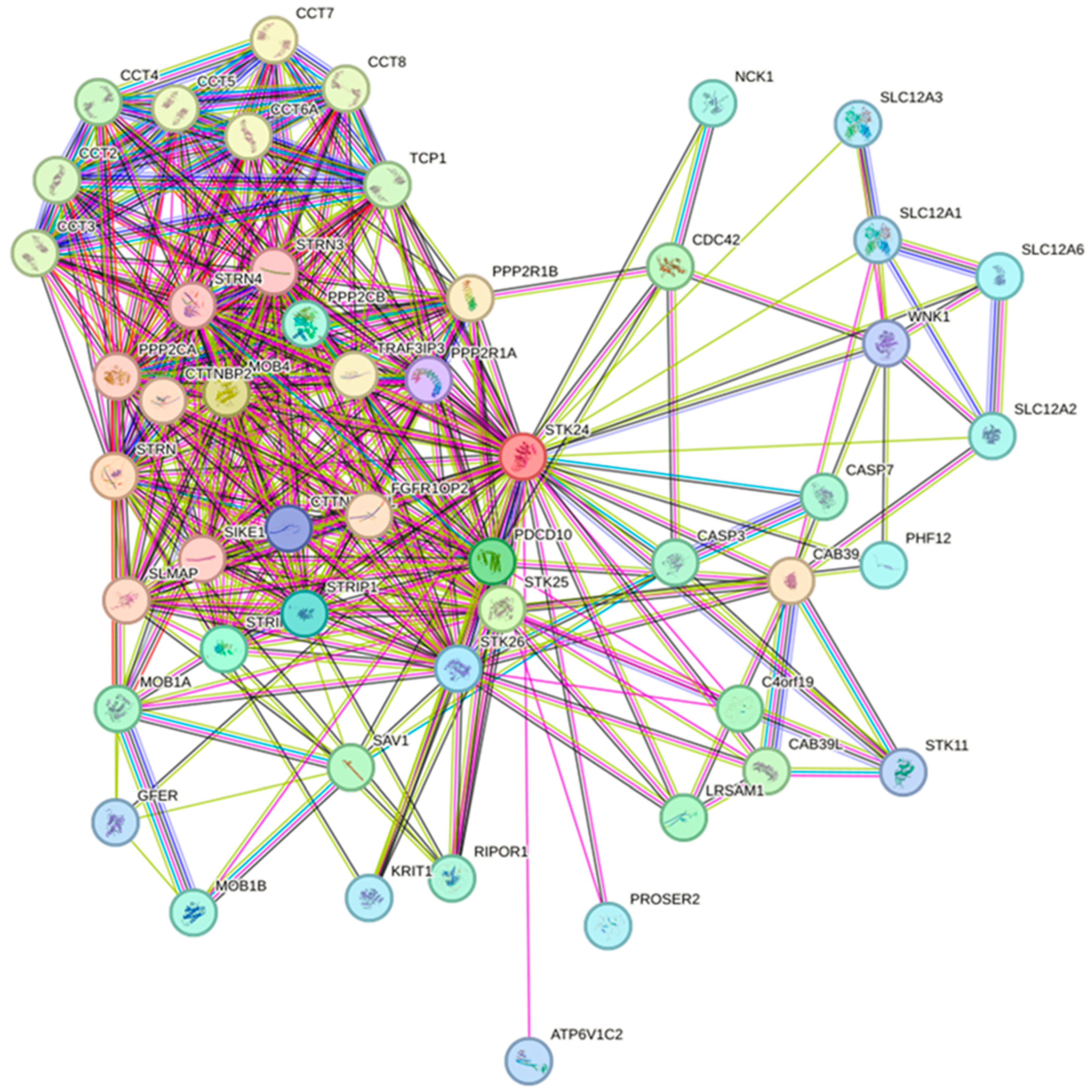 Preprints 137611 g008