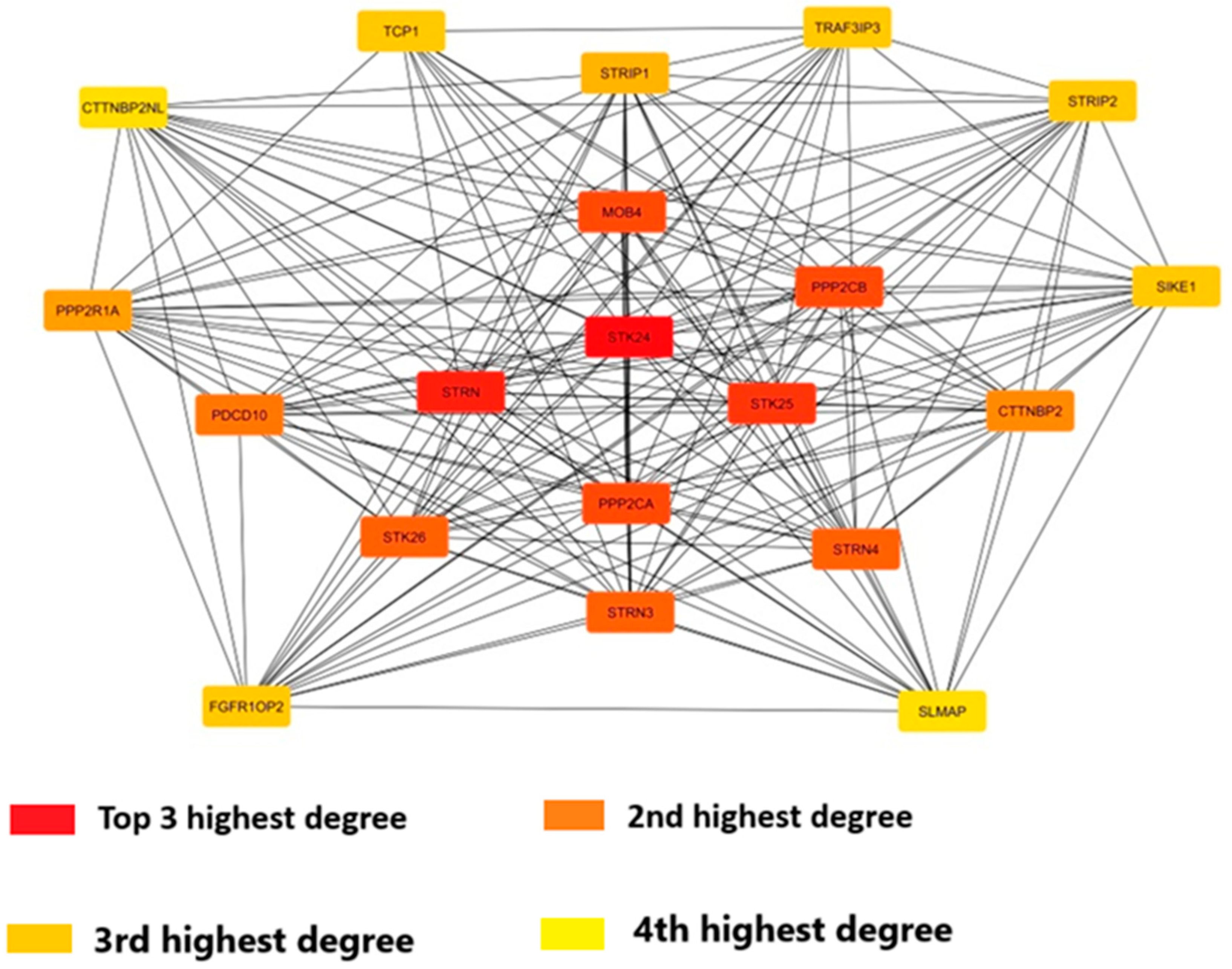 Preprints 137611 g009