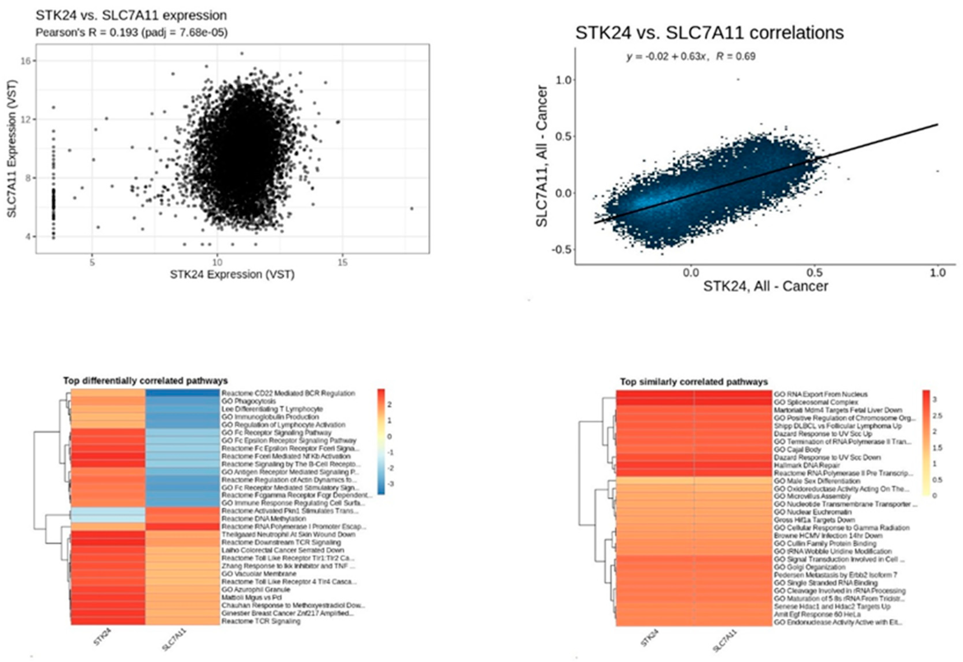 Preprints 137611 g019