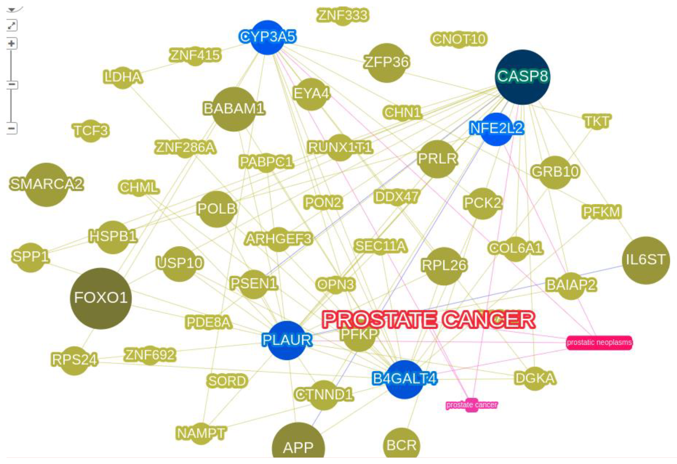 Preprints 66976 g008