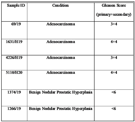 Preprints 66976 i001