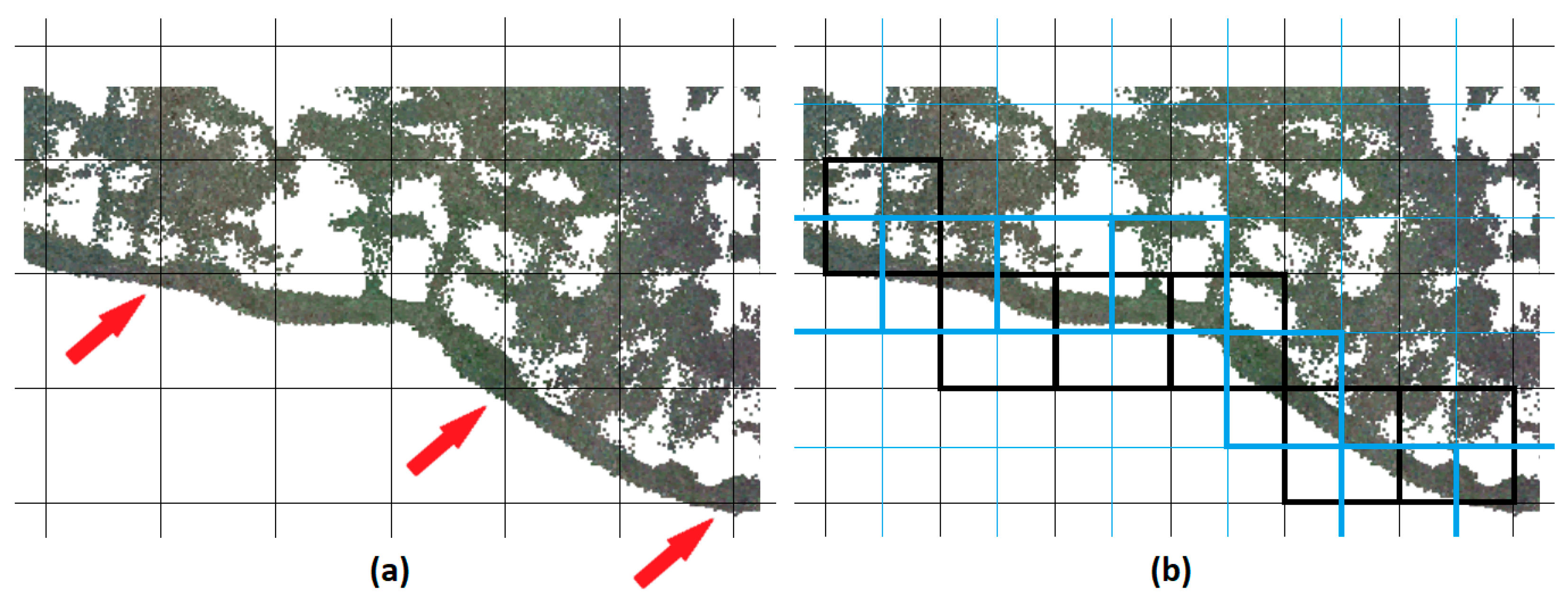 Preprints 141524 g003