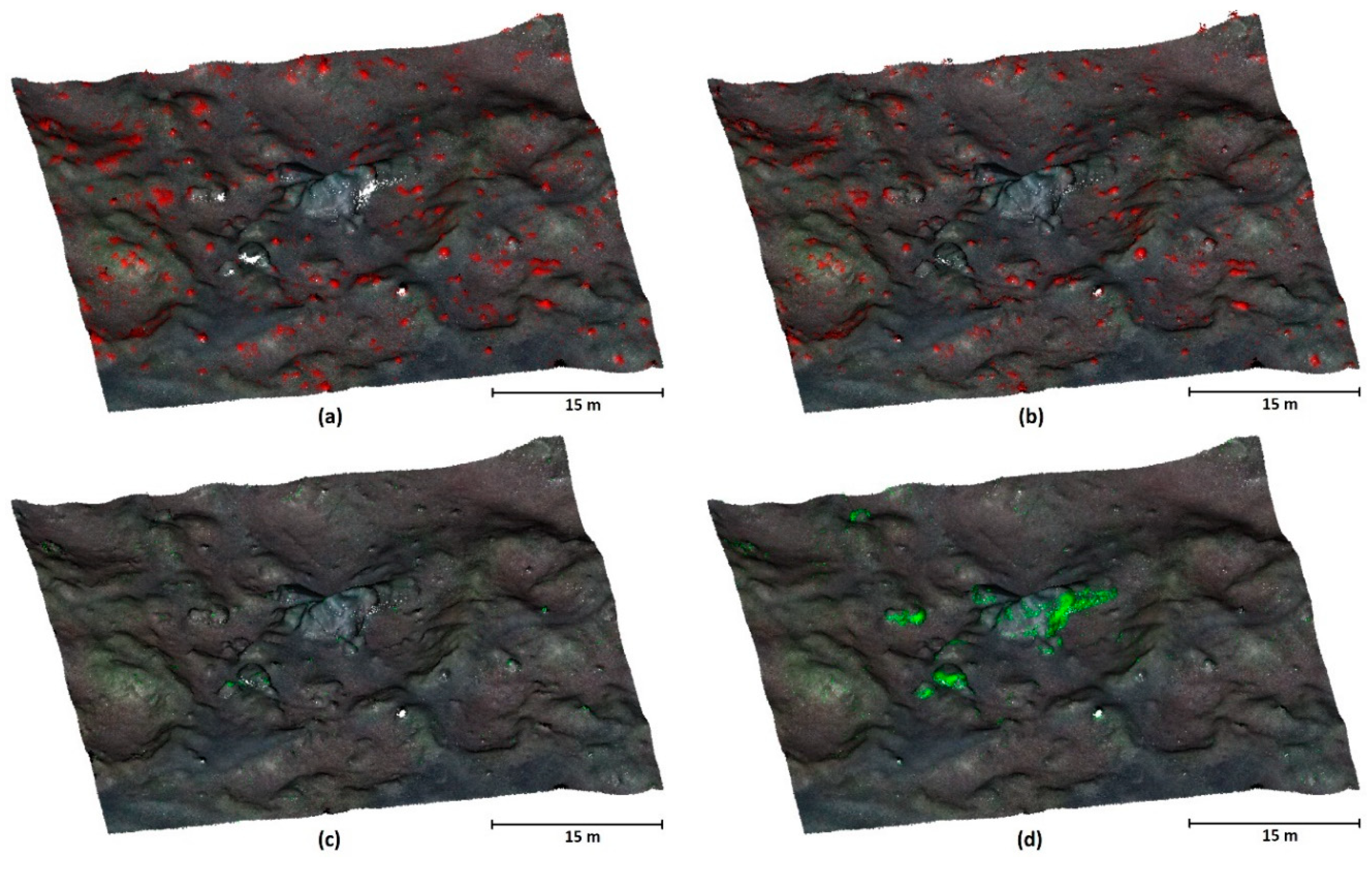Preprints 141524 g010