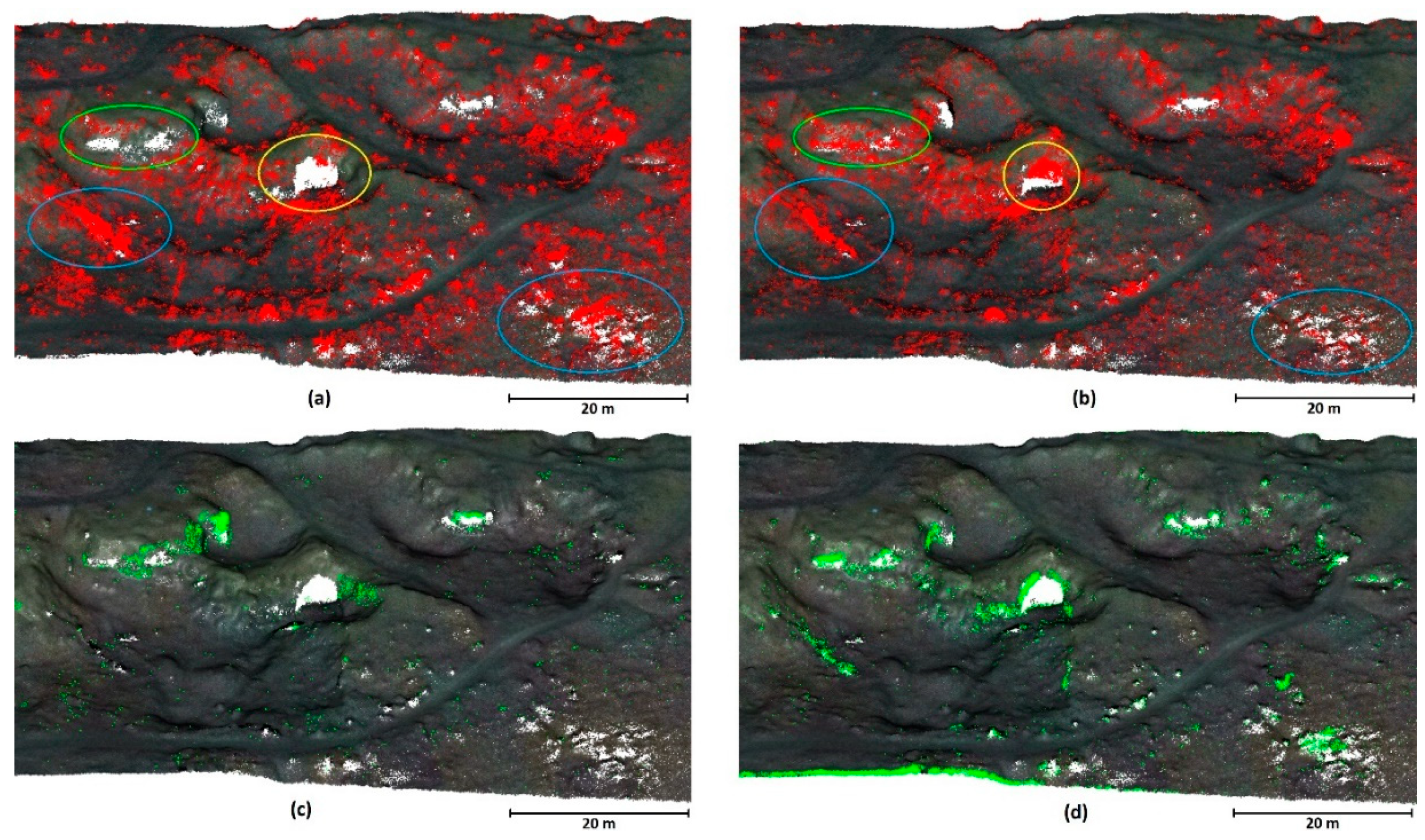 Preprints 141524 g012