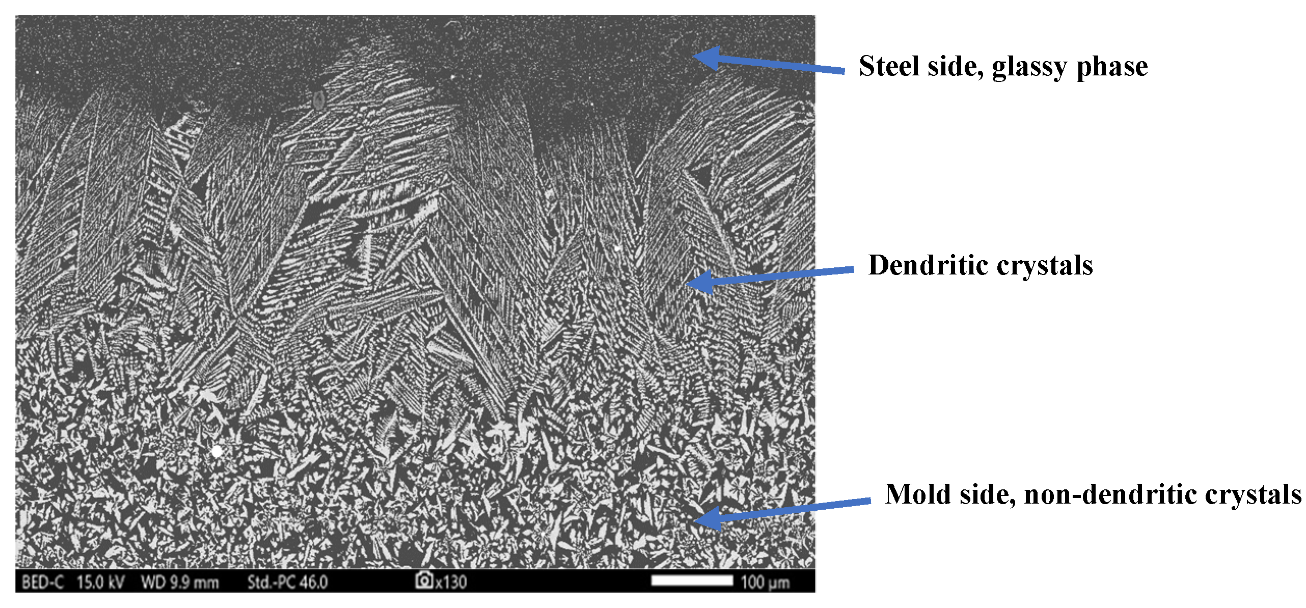 Preprints 147723 g001