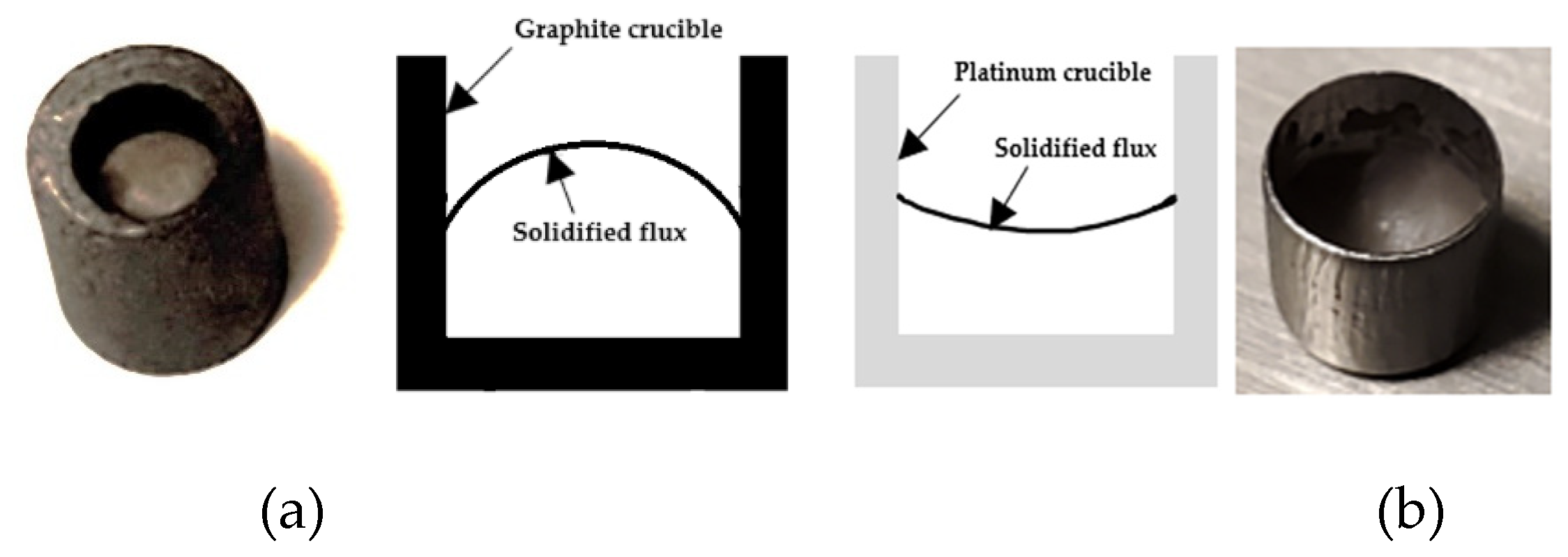 Preprints 147723 g003
