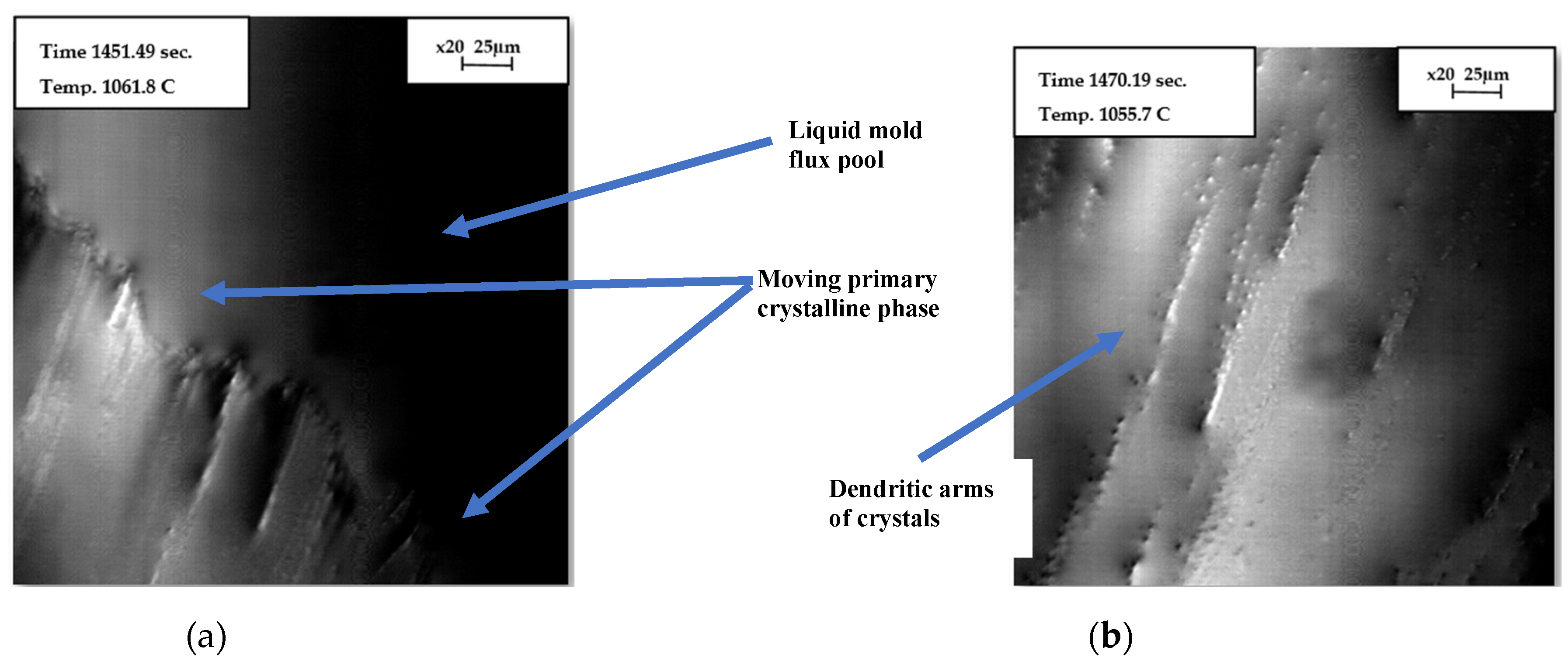 Preprints 147723 g007