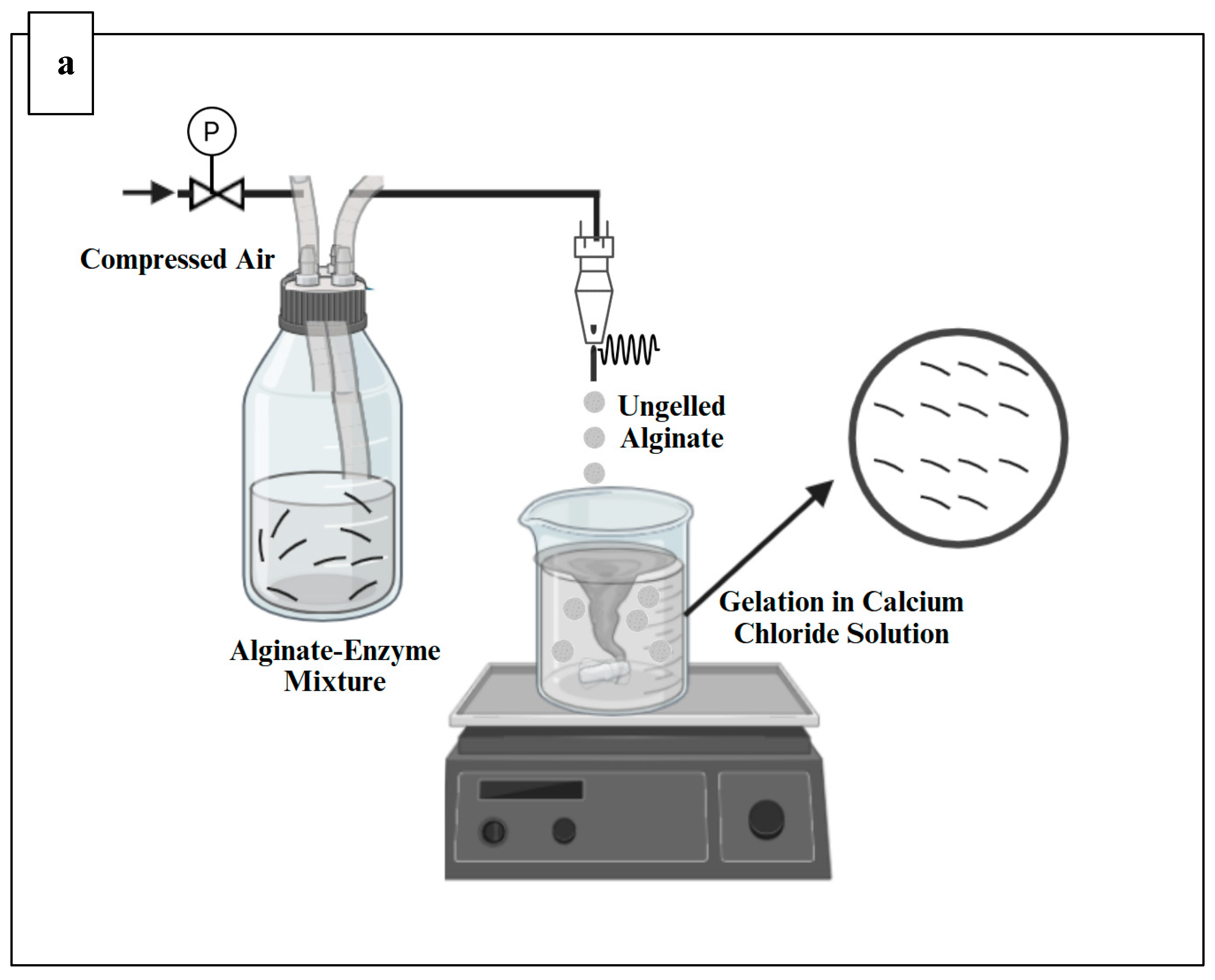 Preprints 147950 g001a