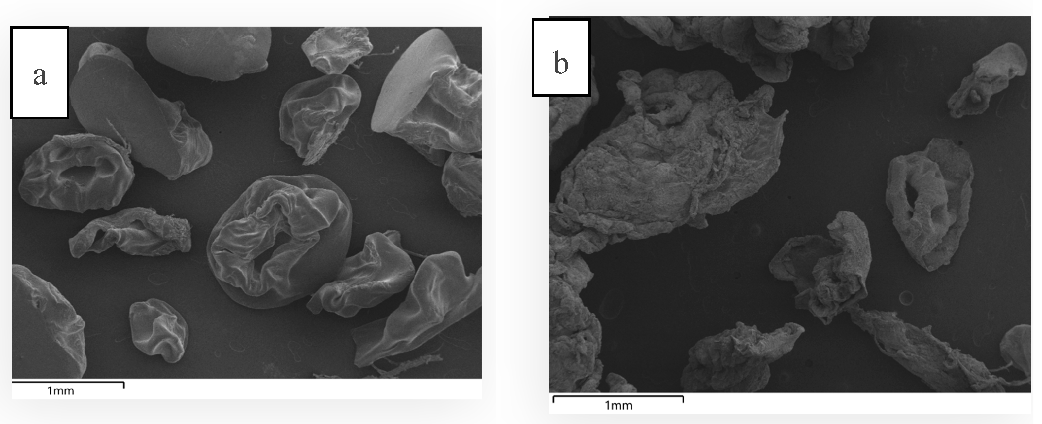 Preprints 147950 g005a