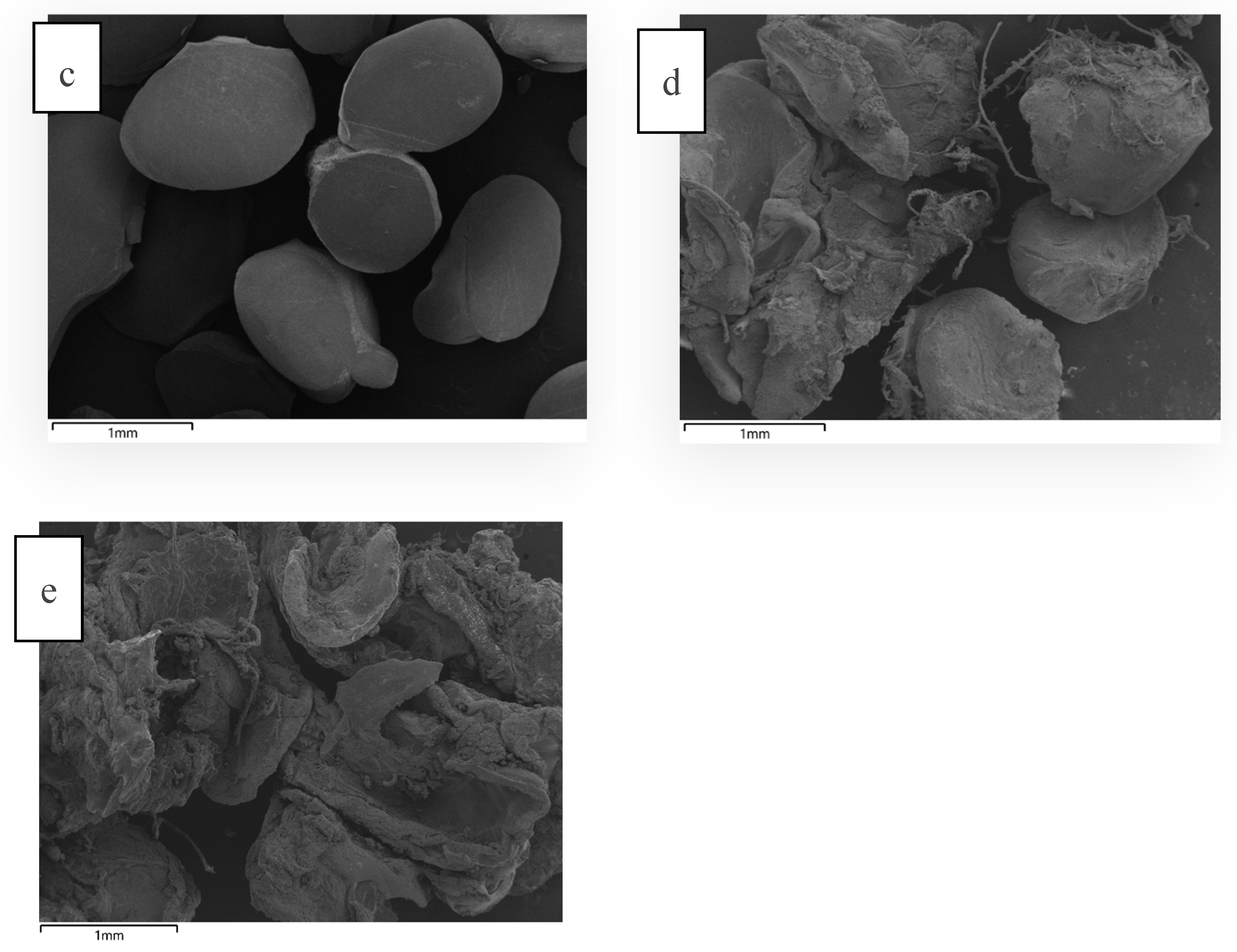 Preprints 147950 g005b