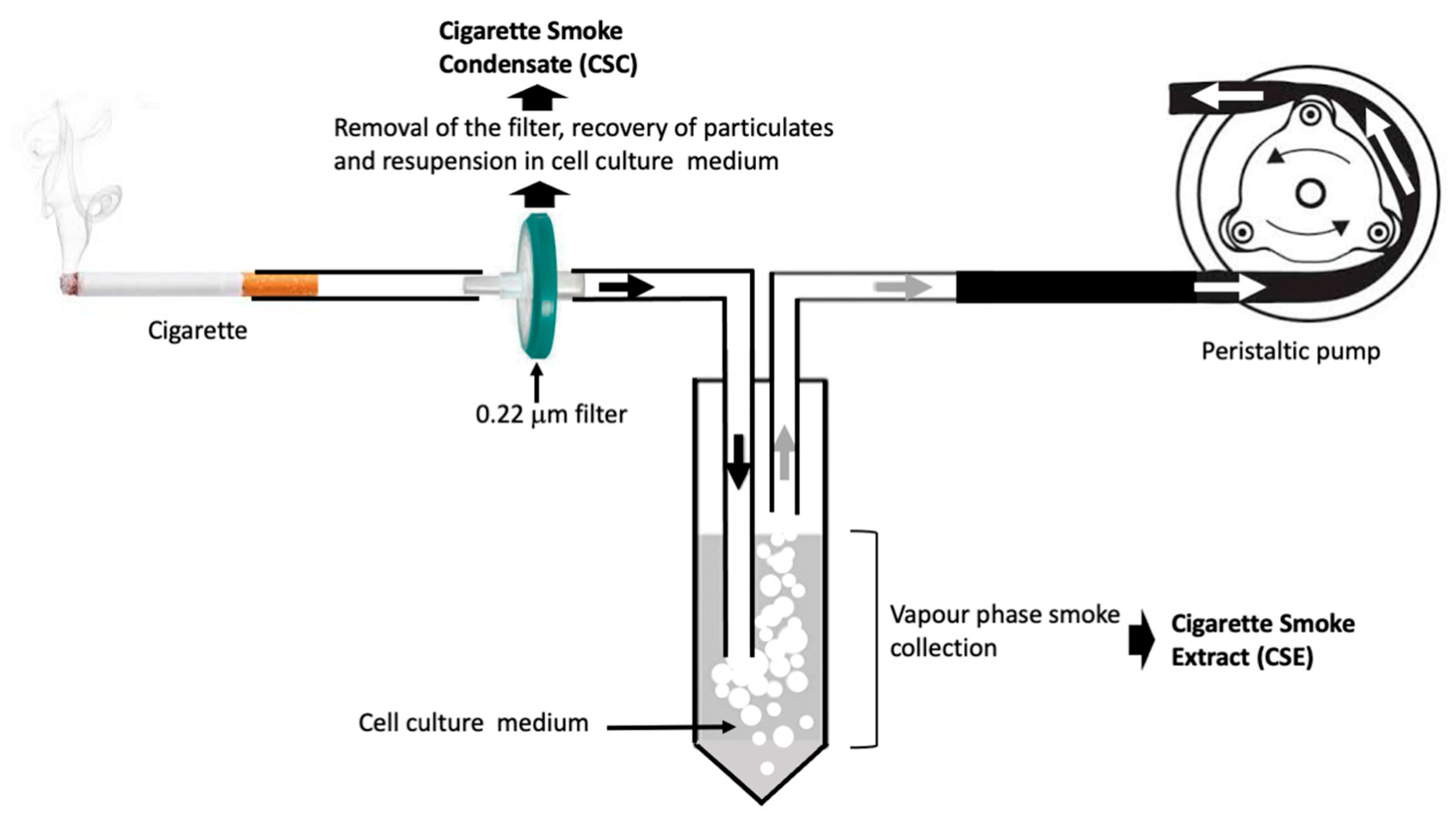 Preprints 169428 g002