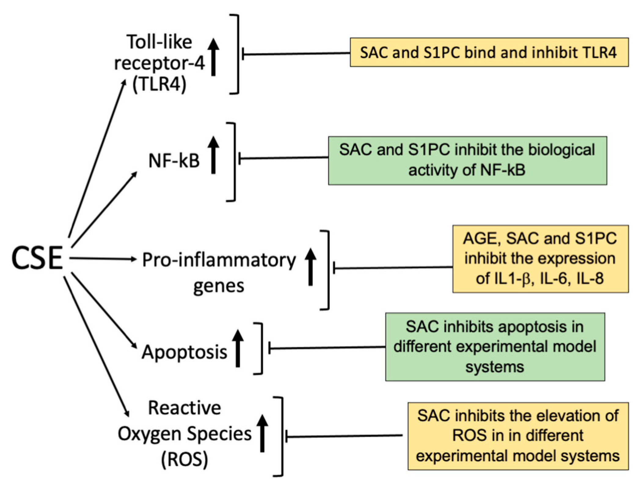 Preprints 169428 g003