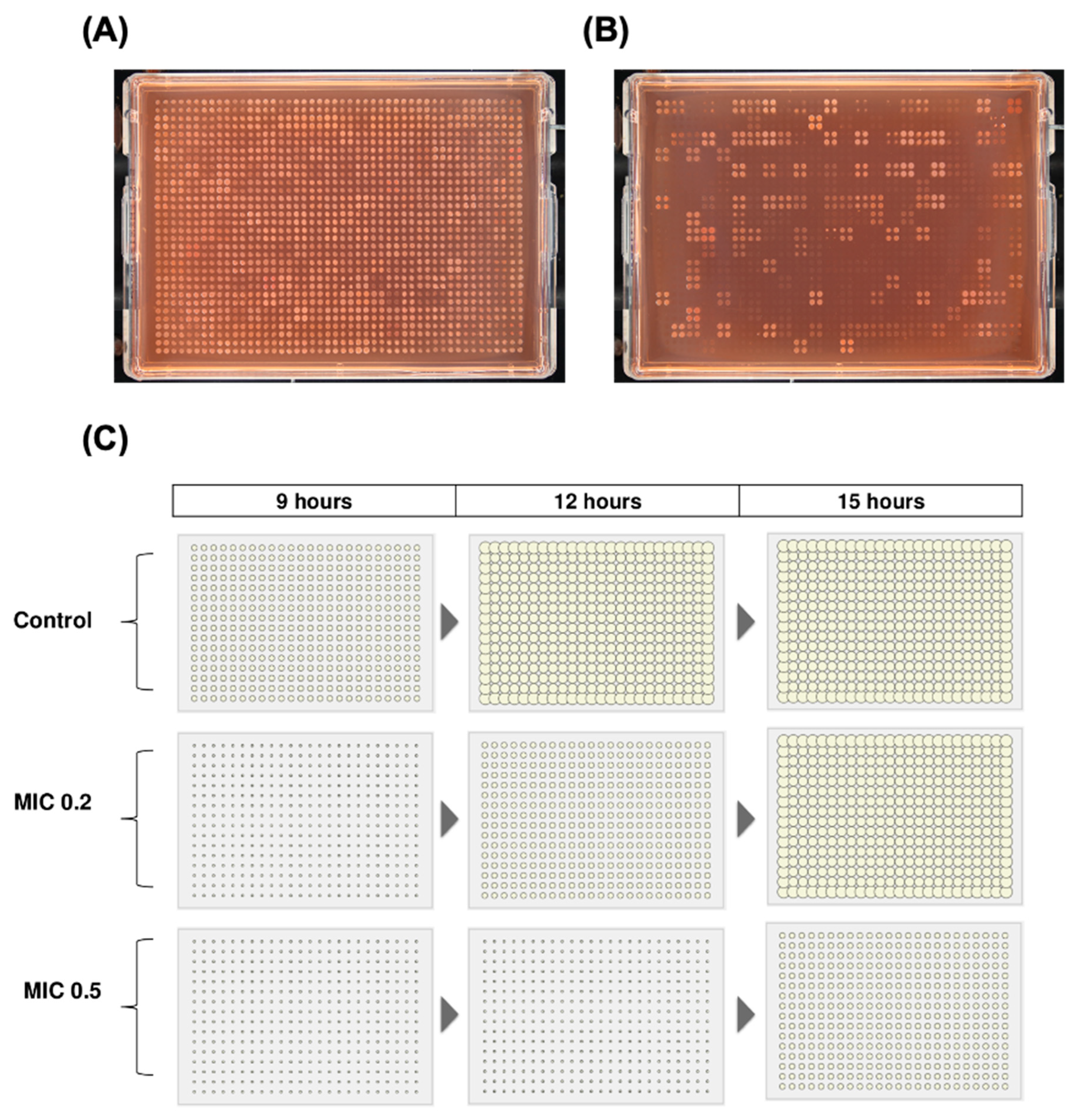 Preprints 167318 g003