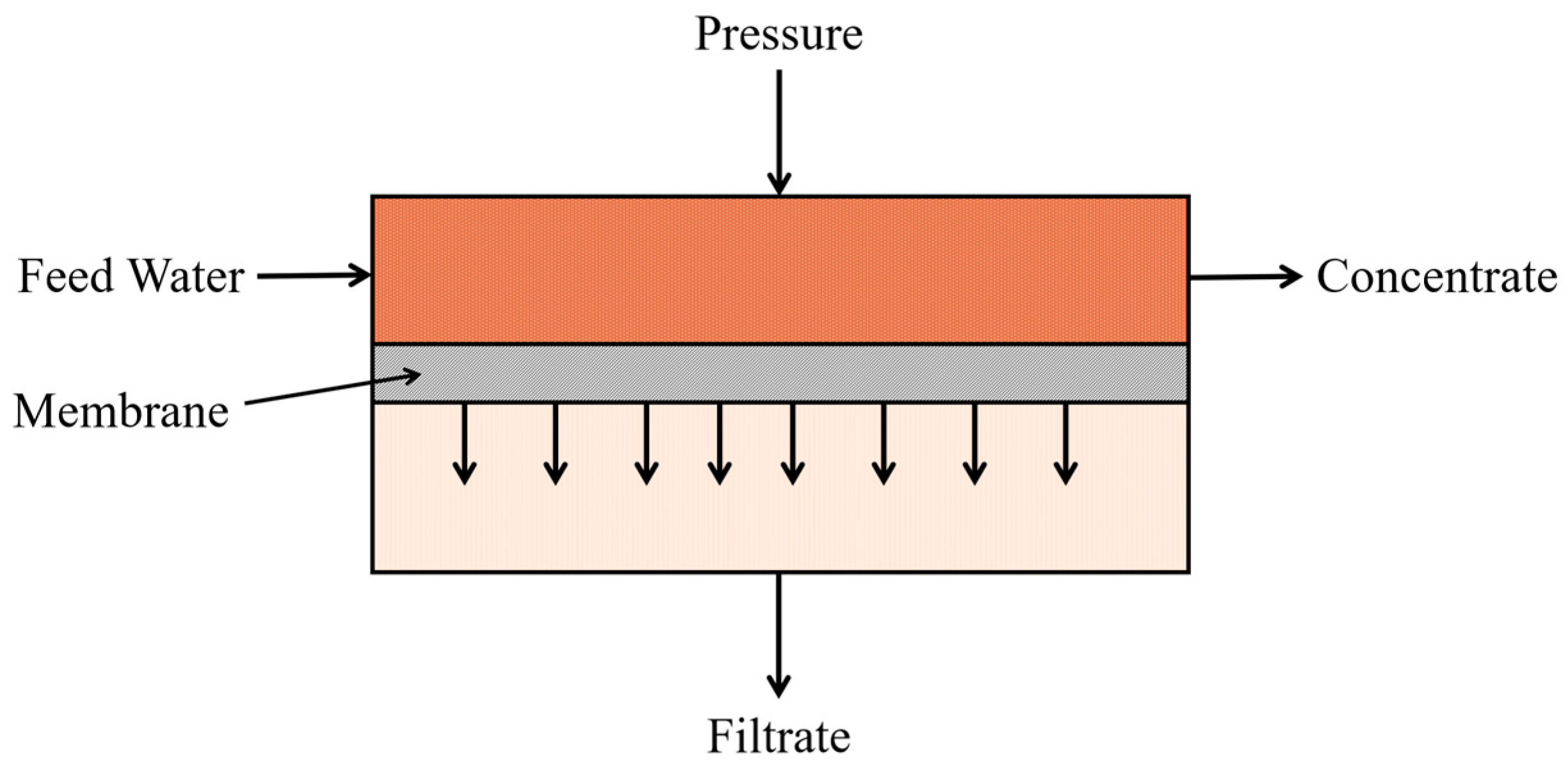 Preprints 193691 g002