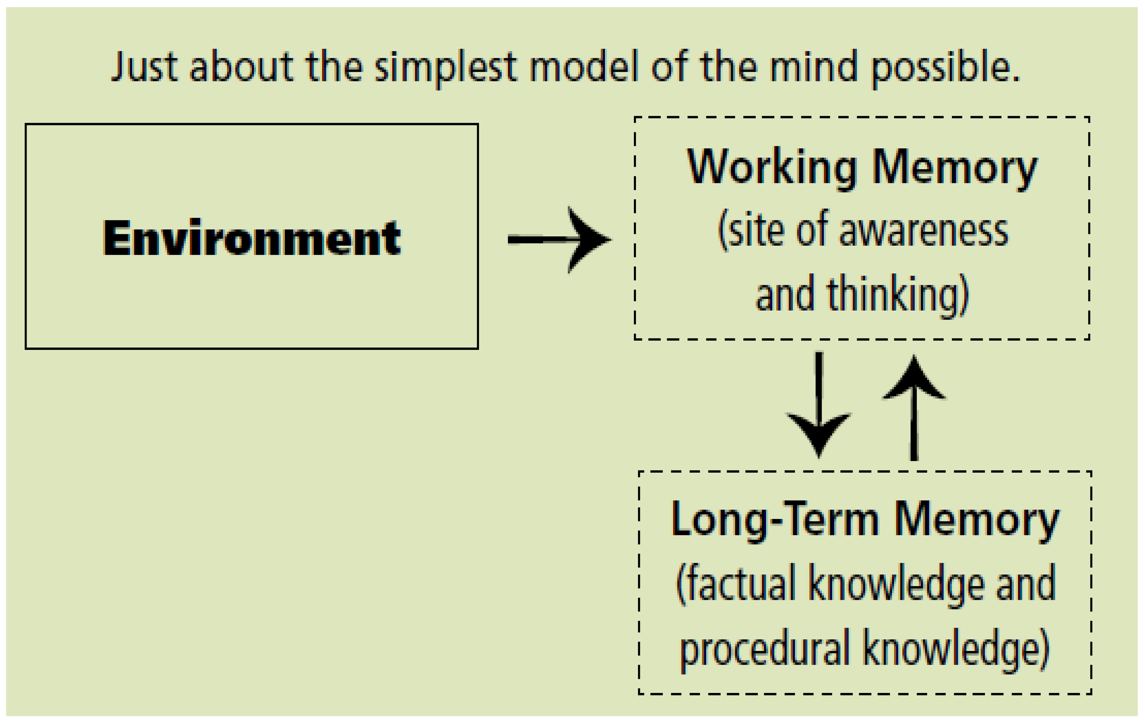 Preprints 163208 g003