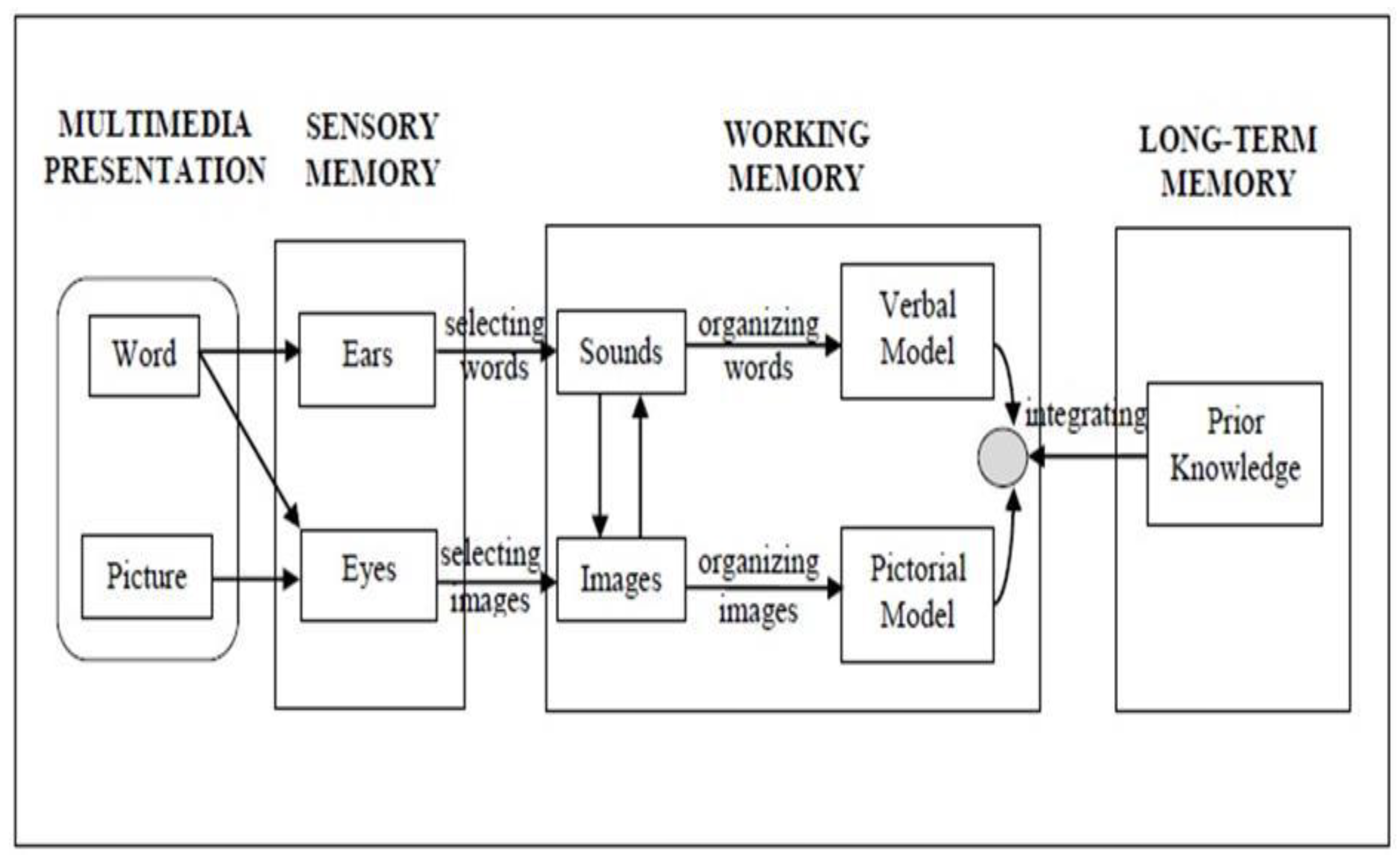 Preprints 163208 g004