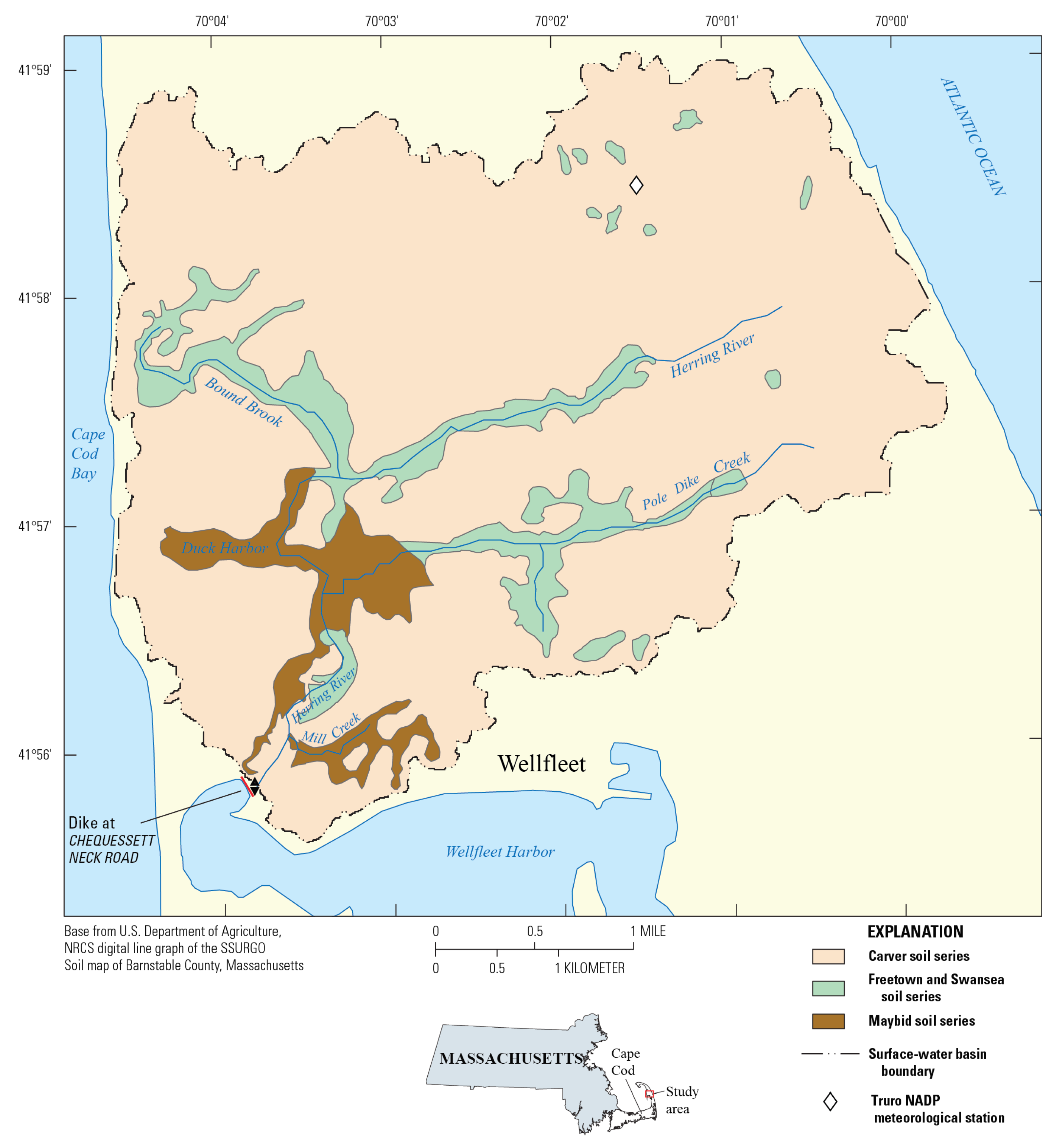 Preprints 161616 g002