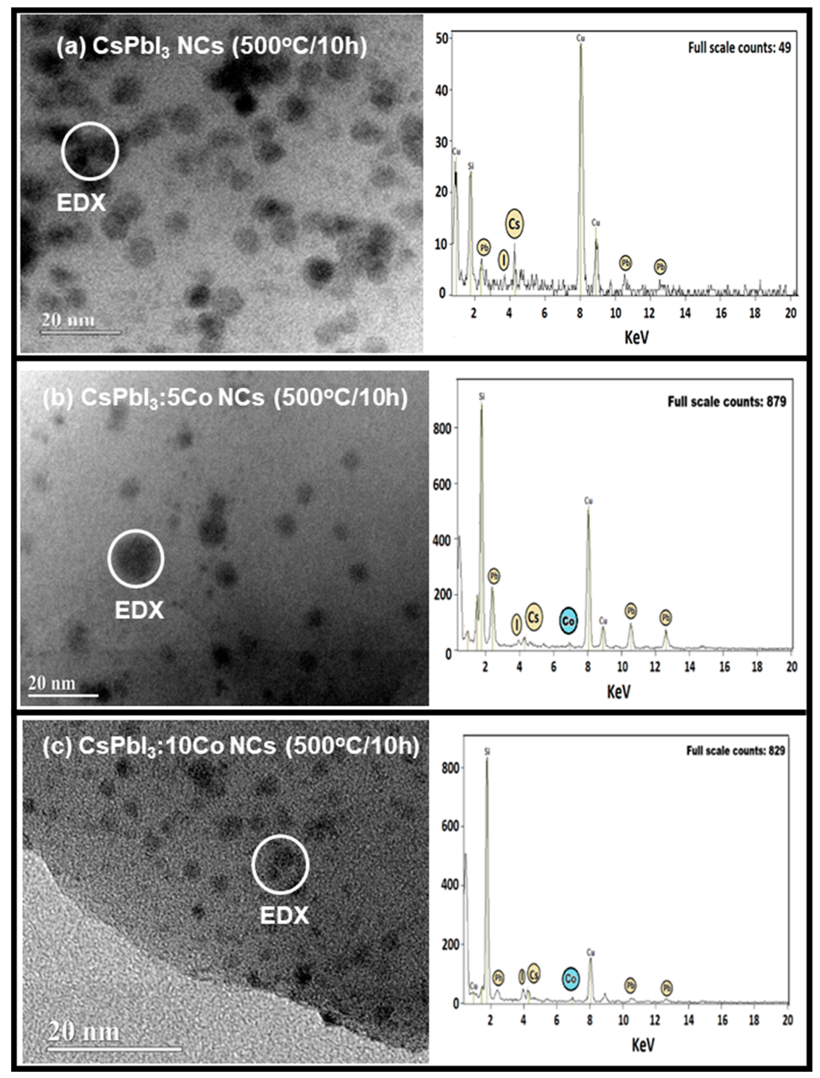 Preprints 208410 g003