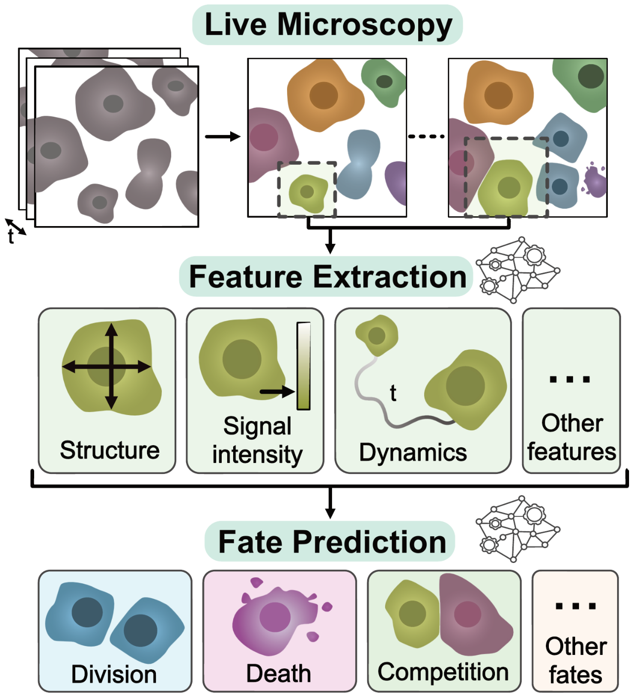 Preprints 223843 g001