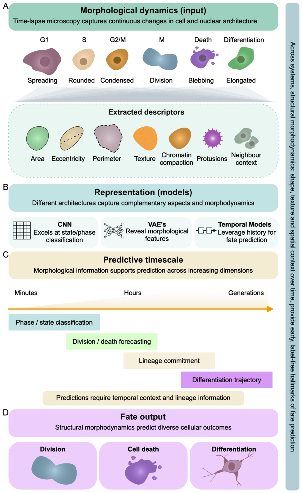 Preprints 223843 g002