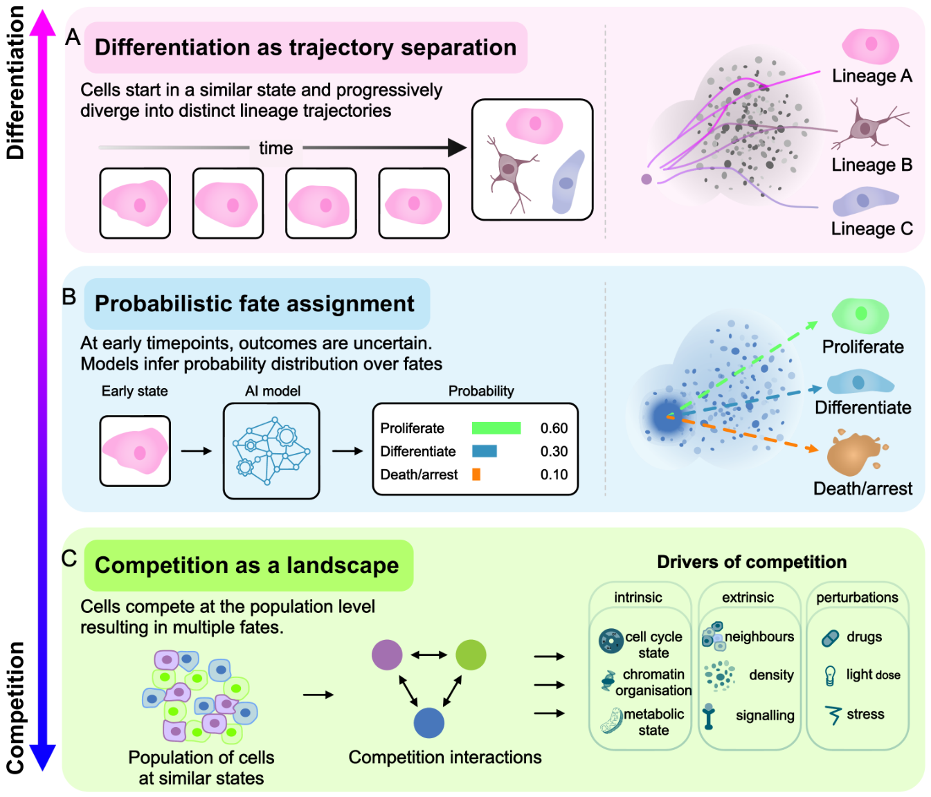 Preprints 223843 g004