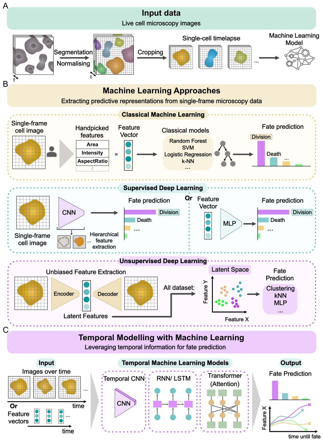 Preprints 223843 g005