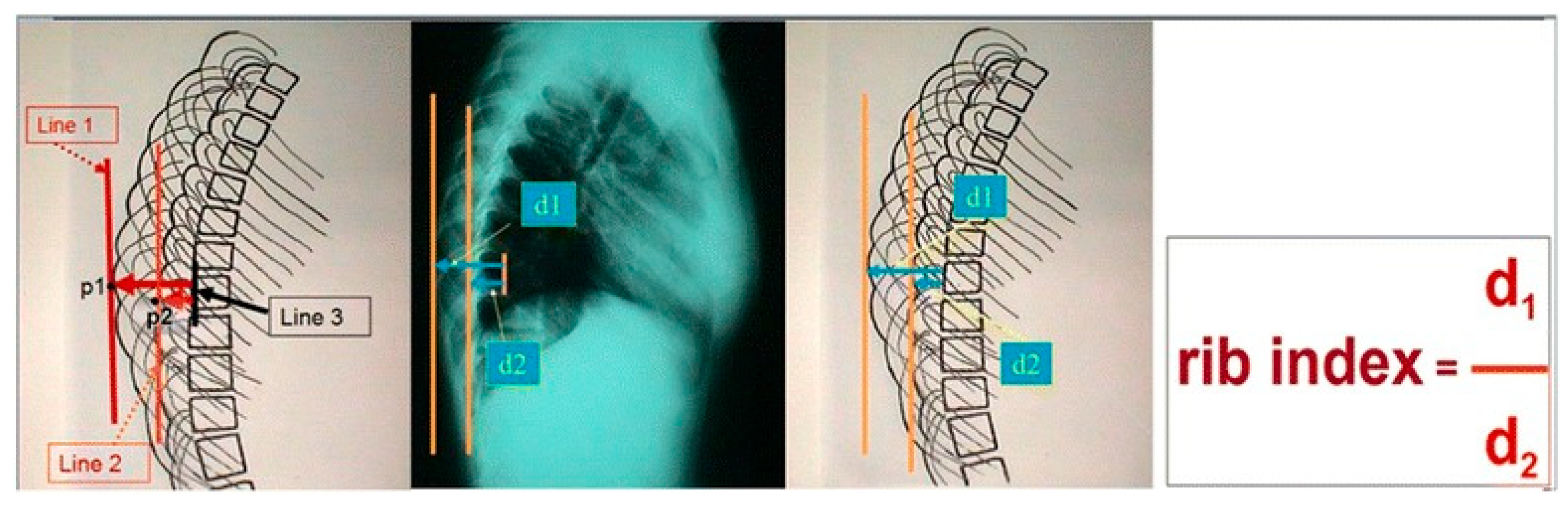 Preprints 88706 g001