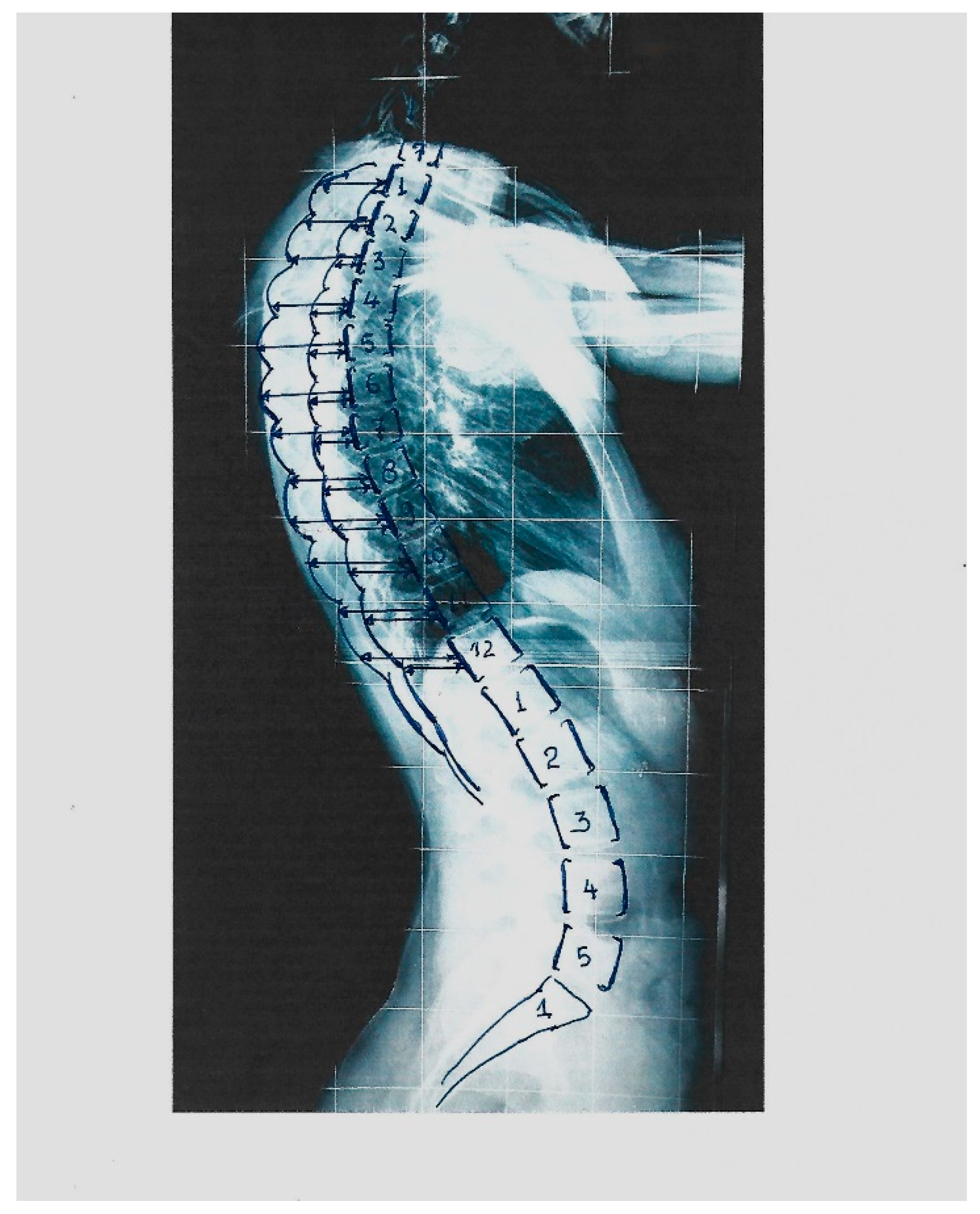 Preprints 88706 g002