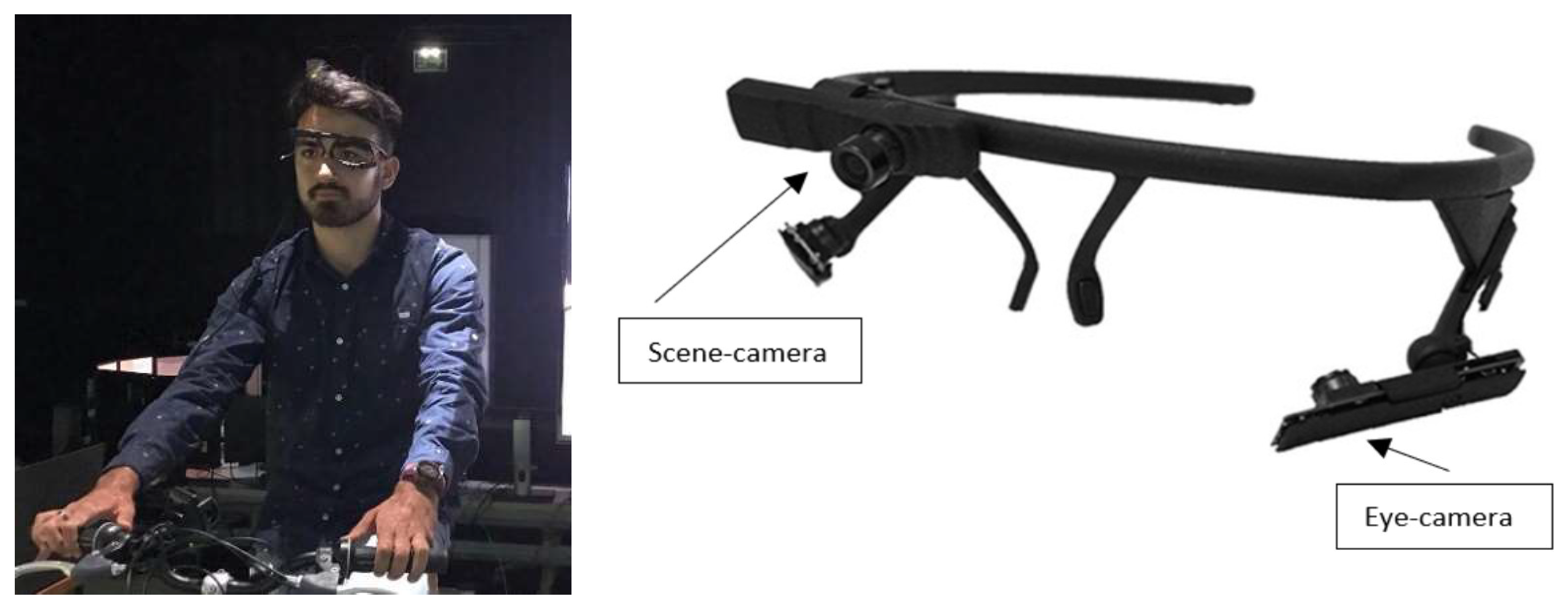 Preprints 69161 g002