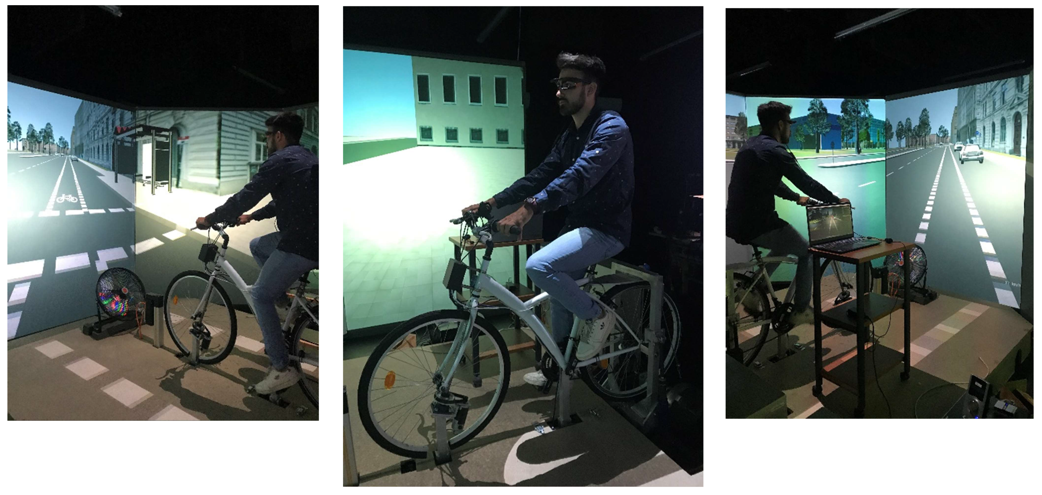 Preprints 69161 g006