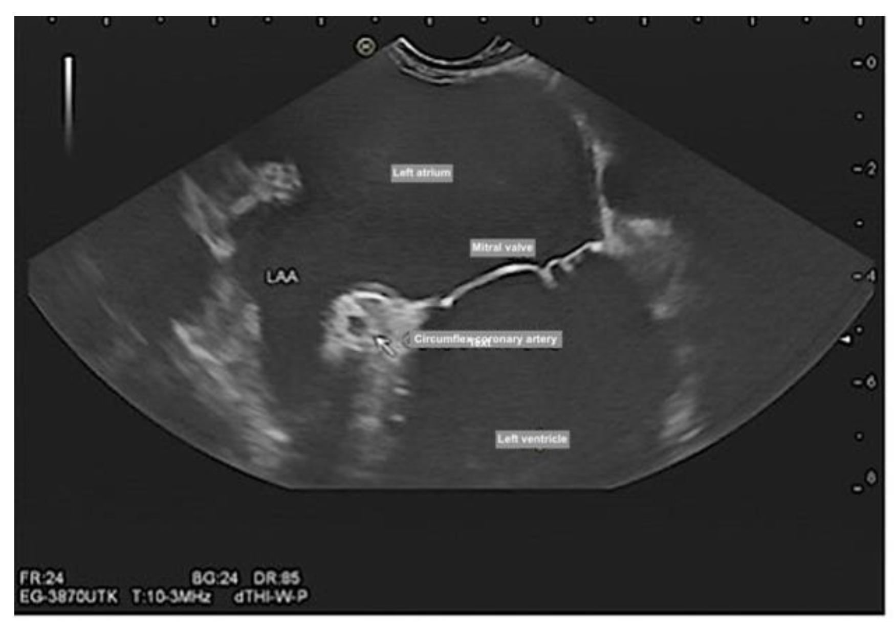 Preprints 79537 g004