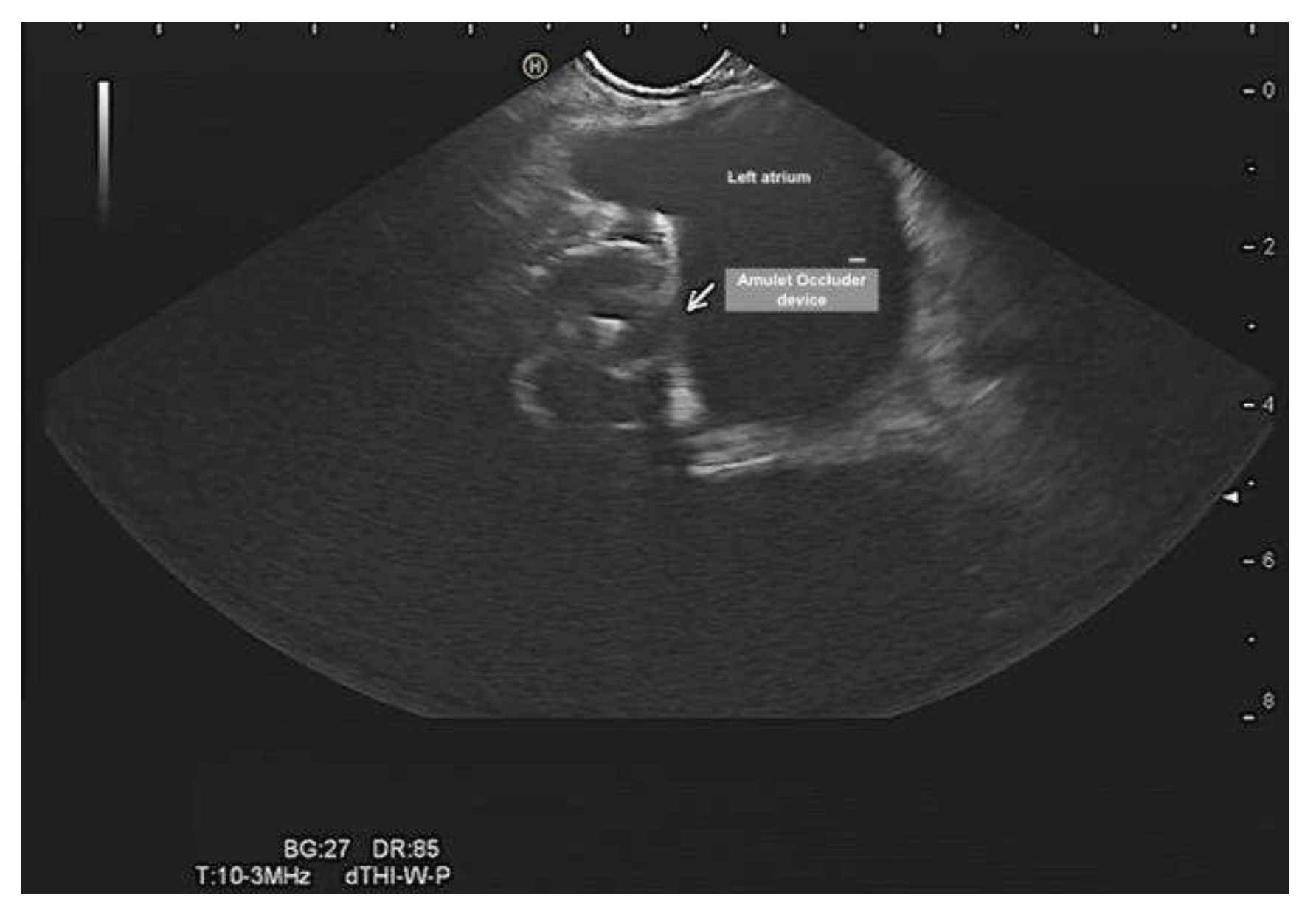 Preprints 79537 g007