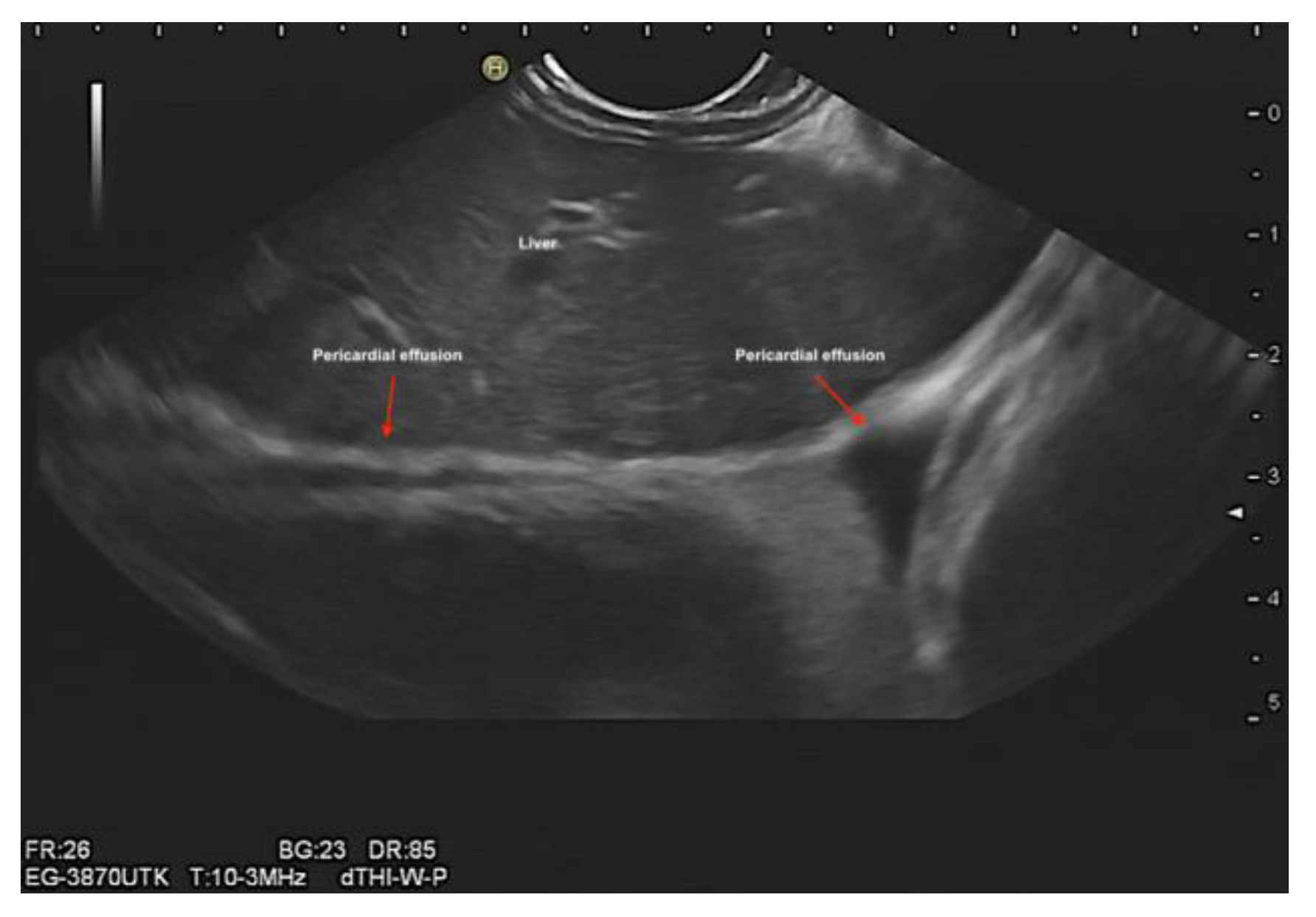 Preprints 79537 g009