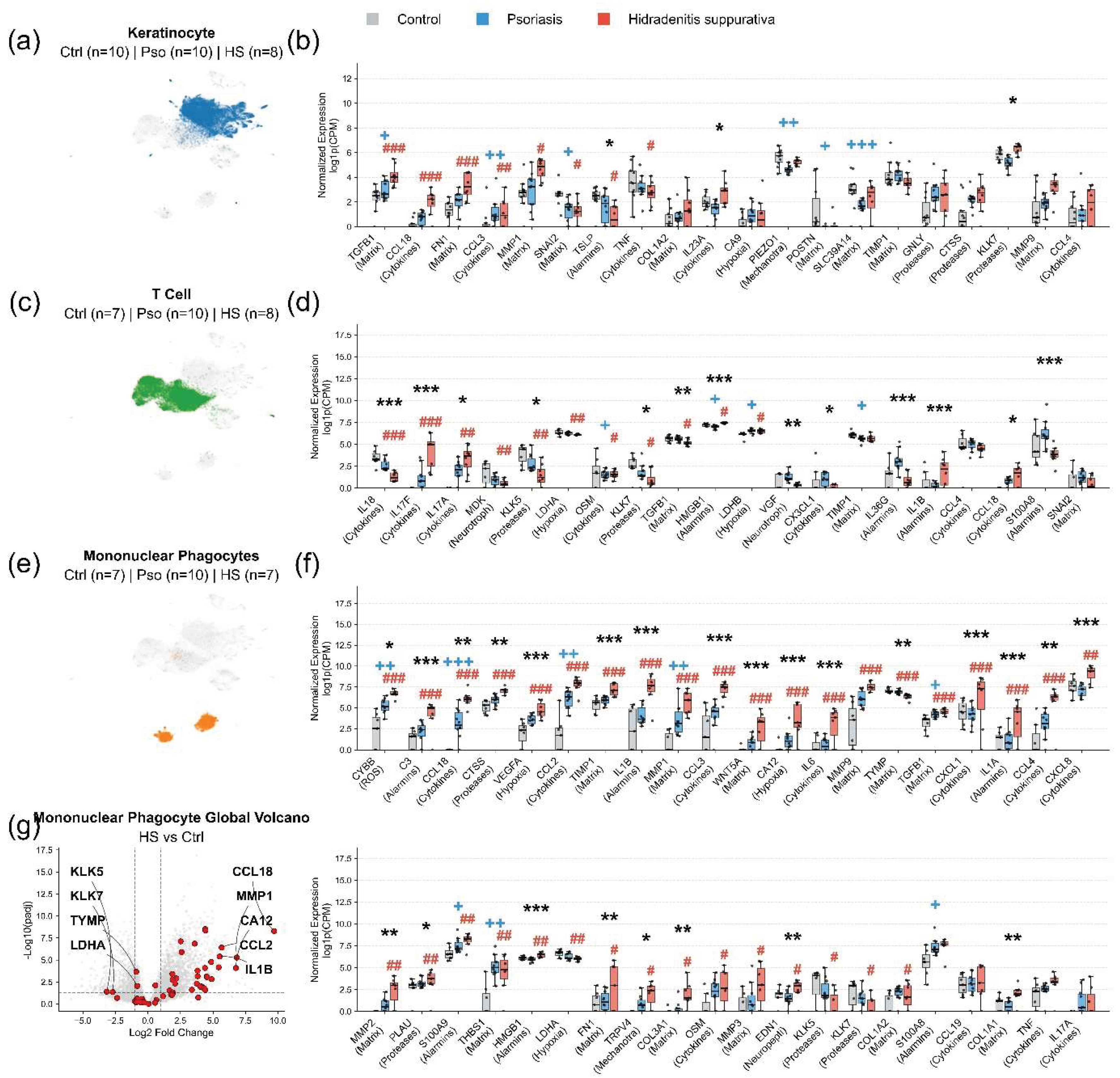 Preprints 220799 g004