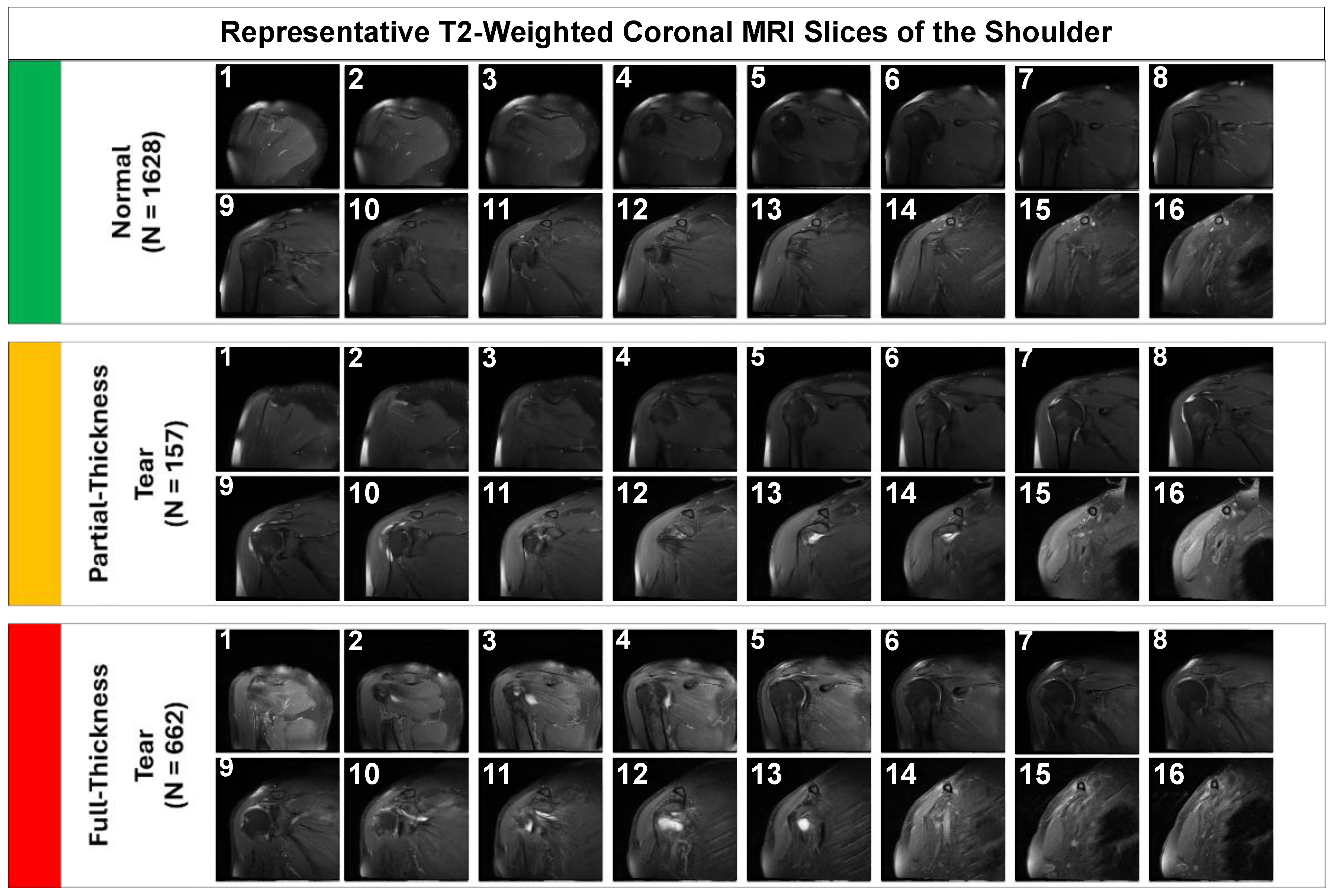 Preprints 190446 g001