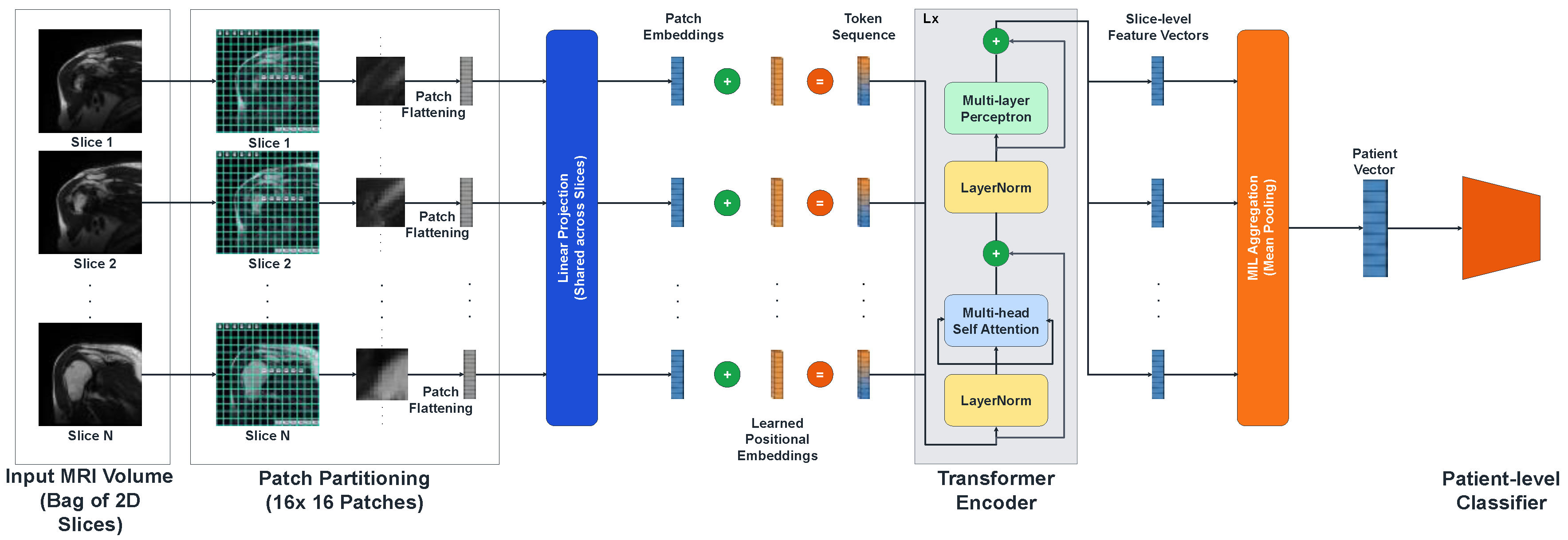 Preprints 190446 g002