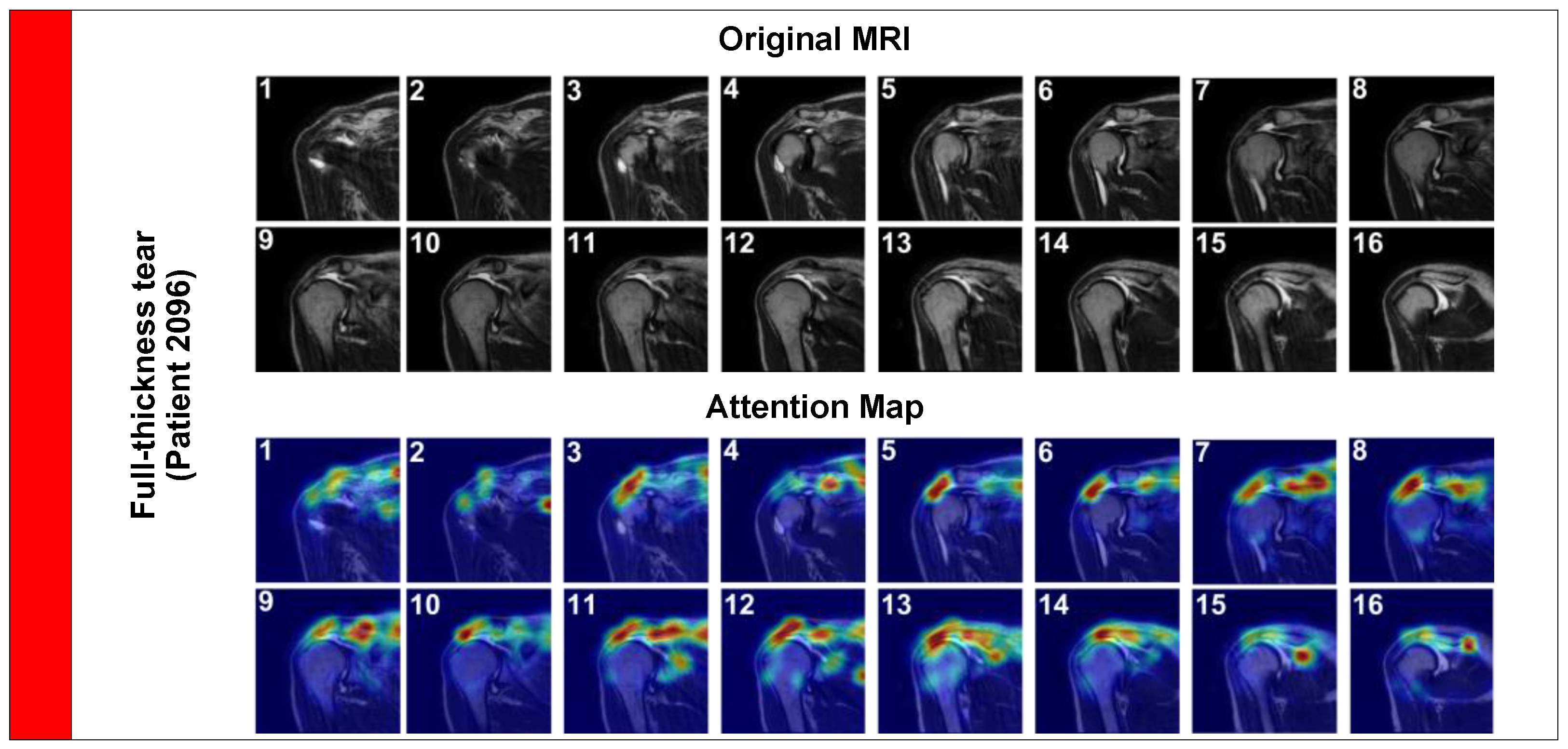 Preprints 190446 g006