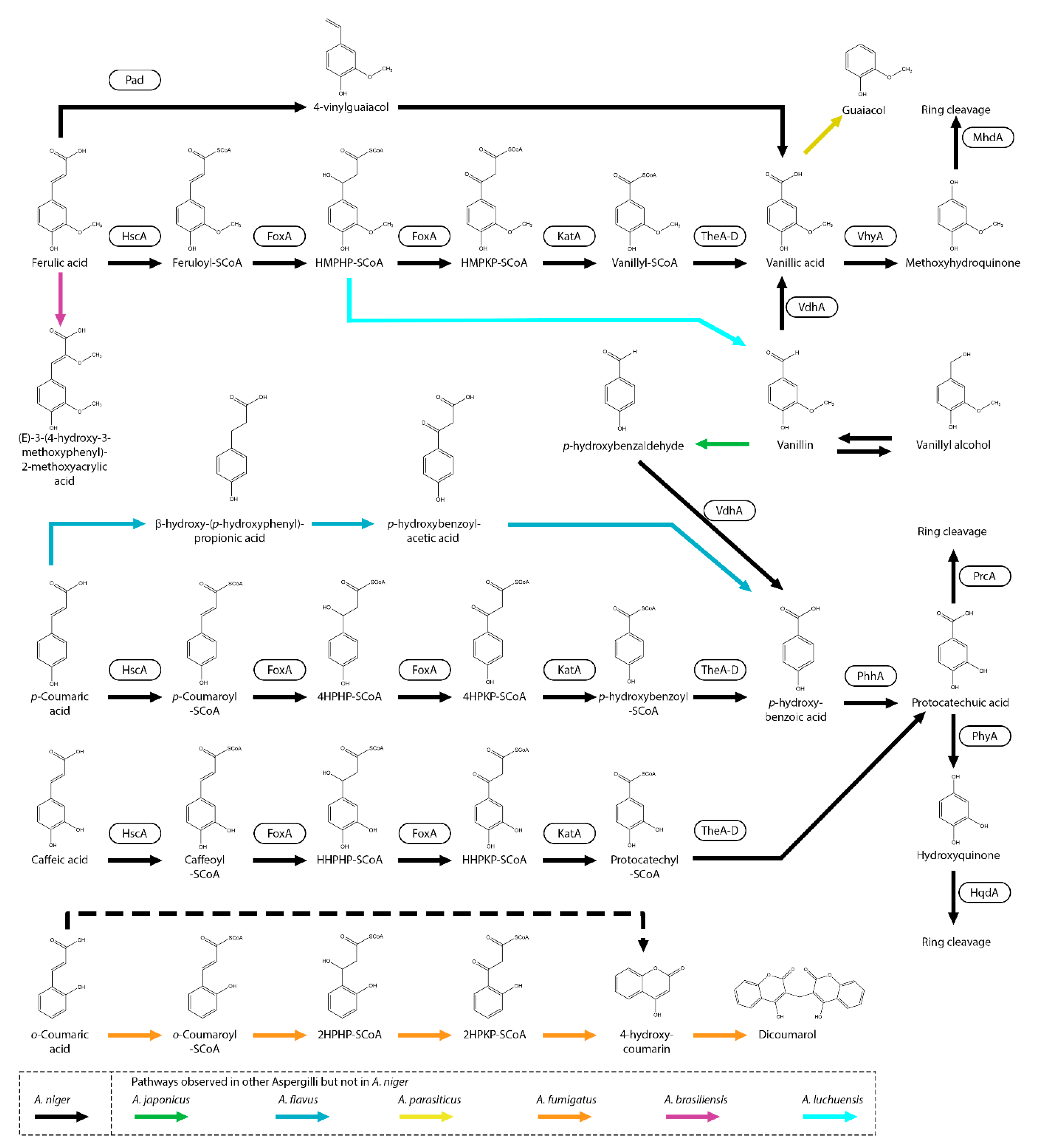 Preprints 163696 g001