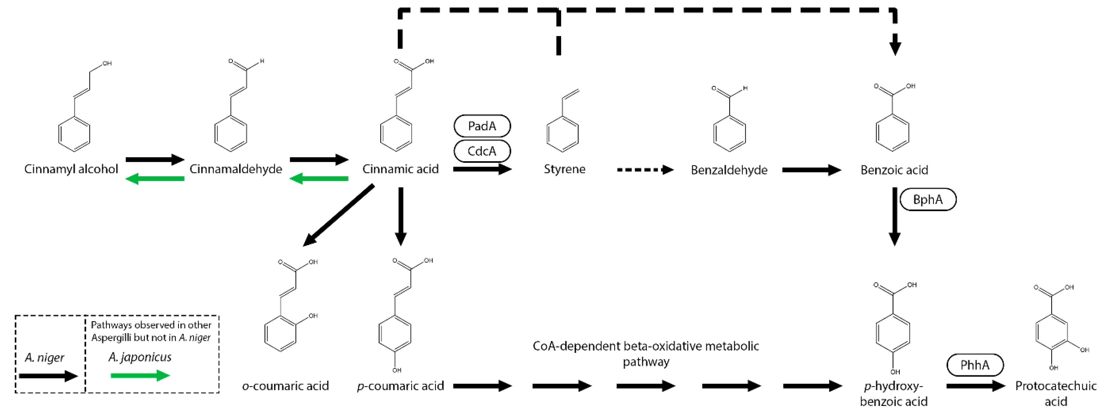 Preprints 163696 g002