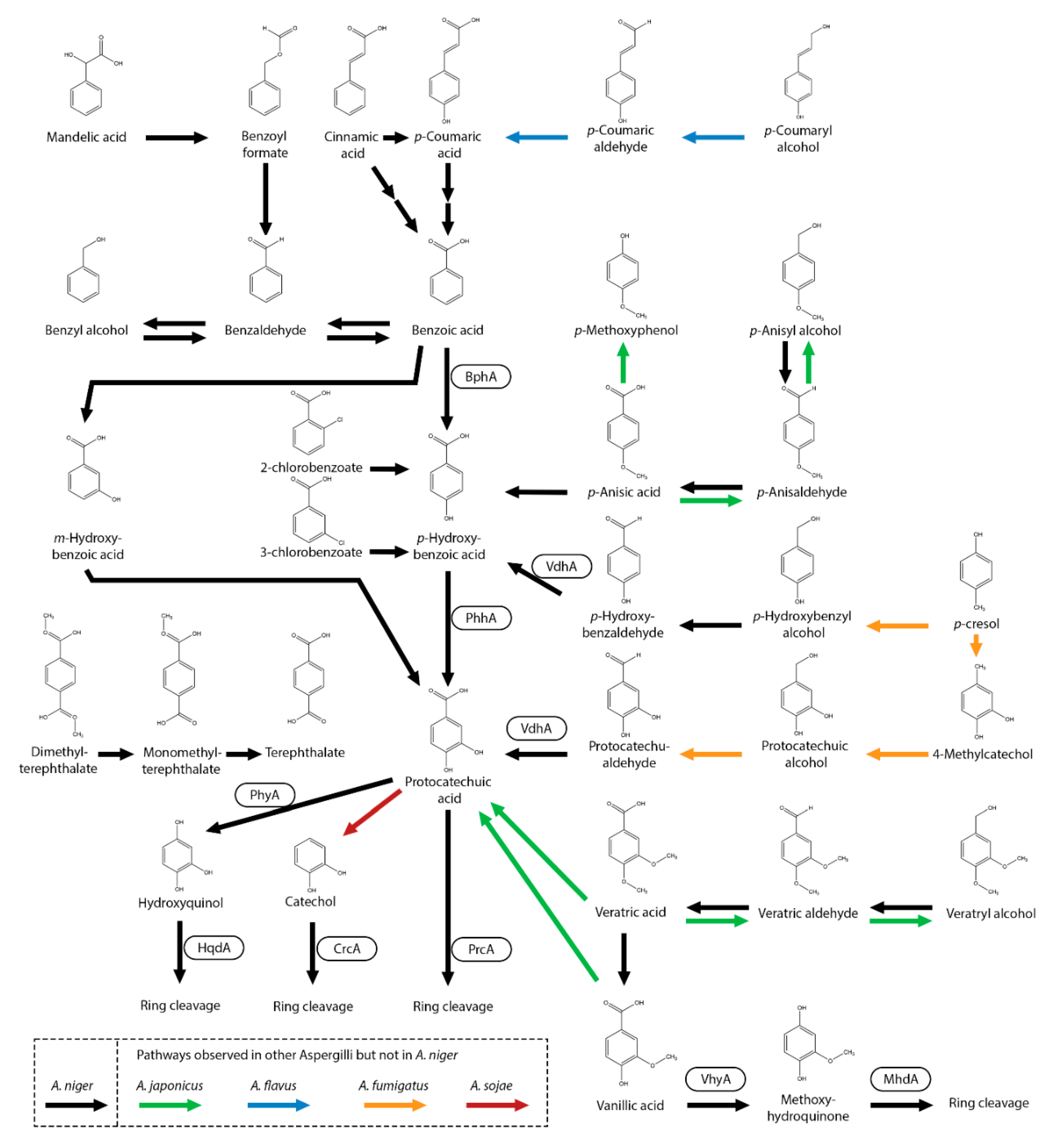 Preprints 163696 g003
