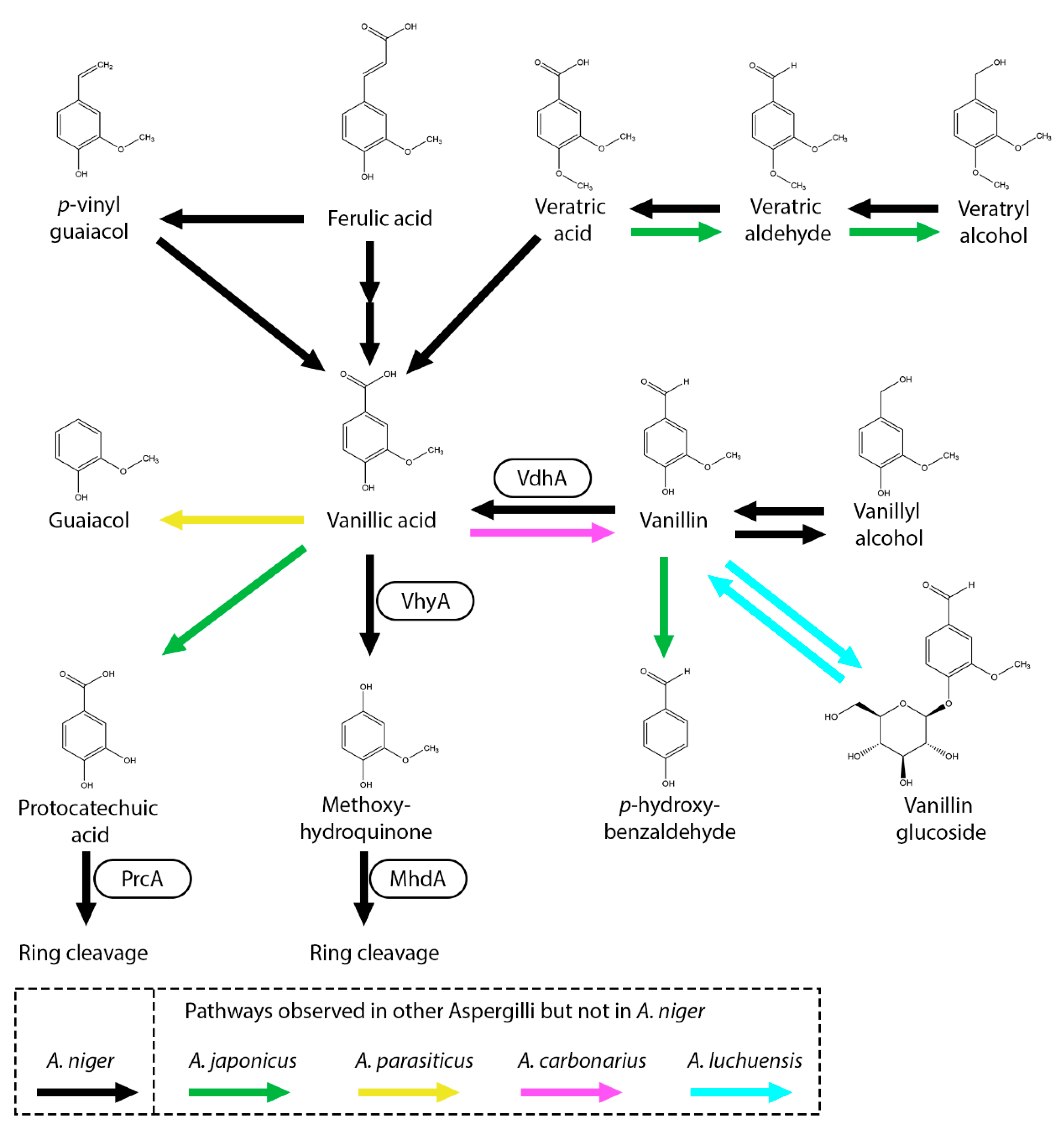 Preprints 163696 g004