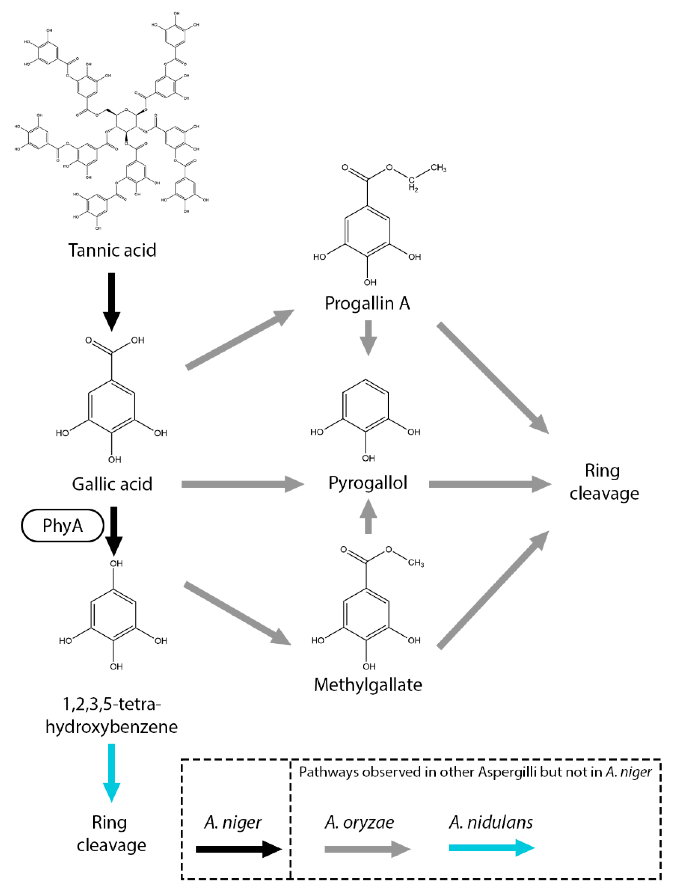 Preprints 163696 g005