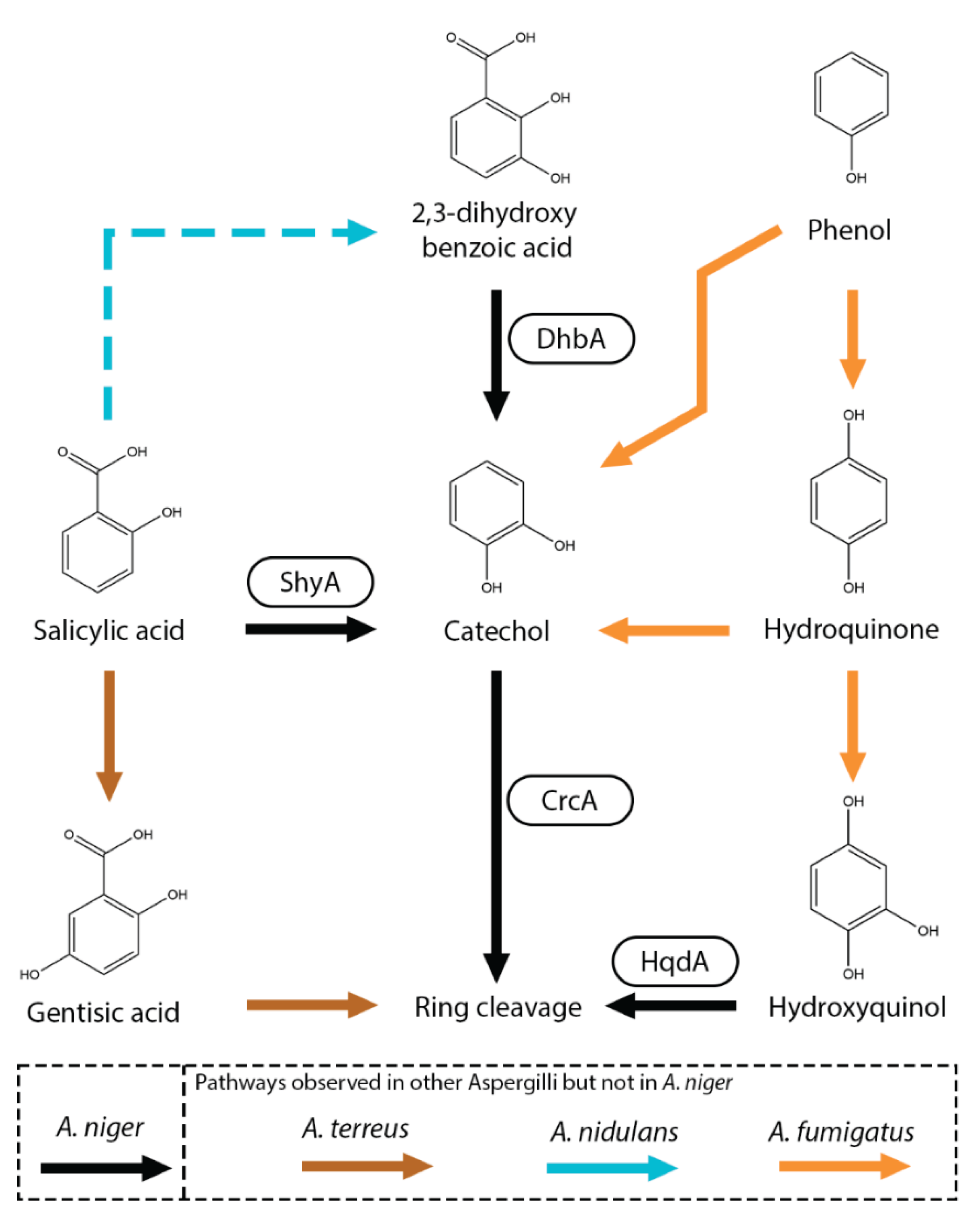 Preprints 163696 g006